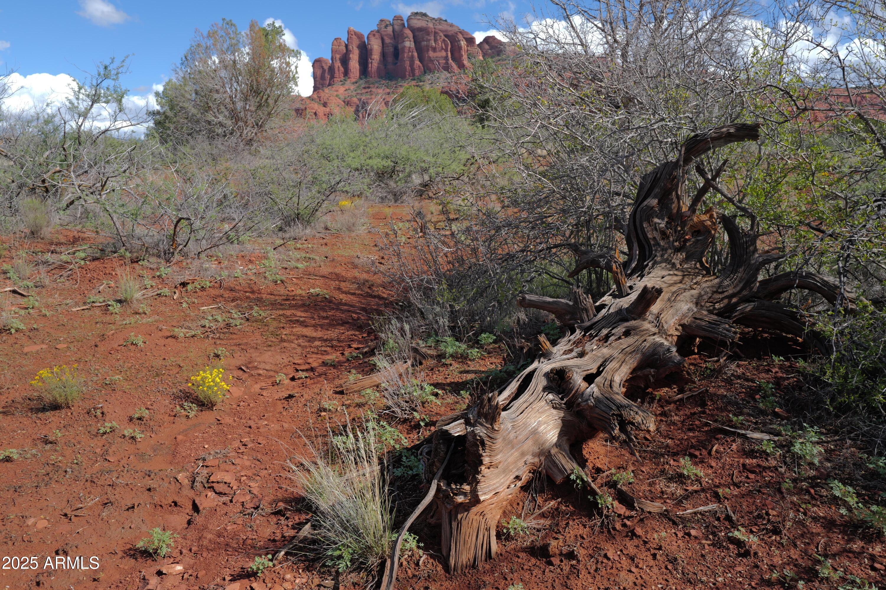 CATHEDRAL ROCK RANCH PHASE 1 - Land