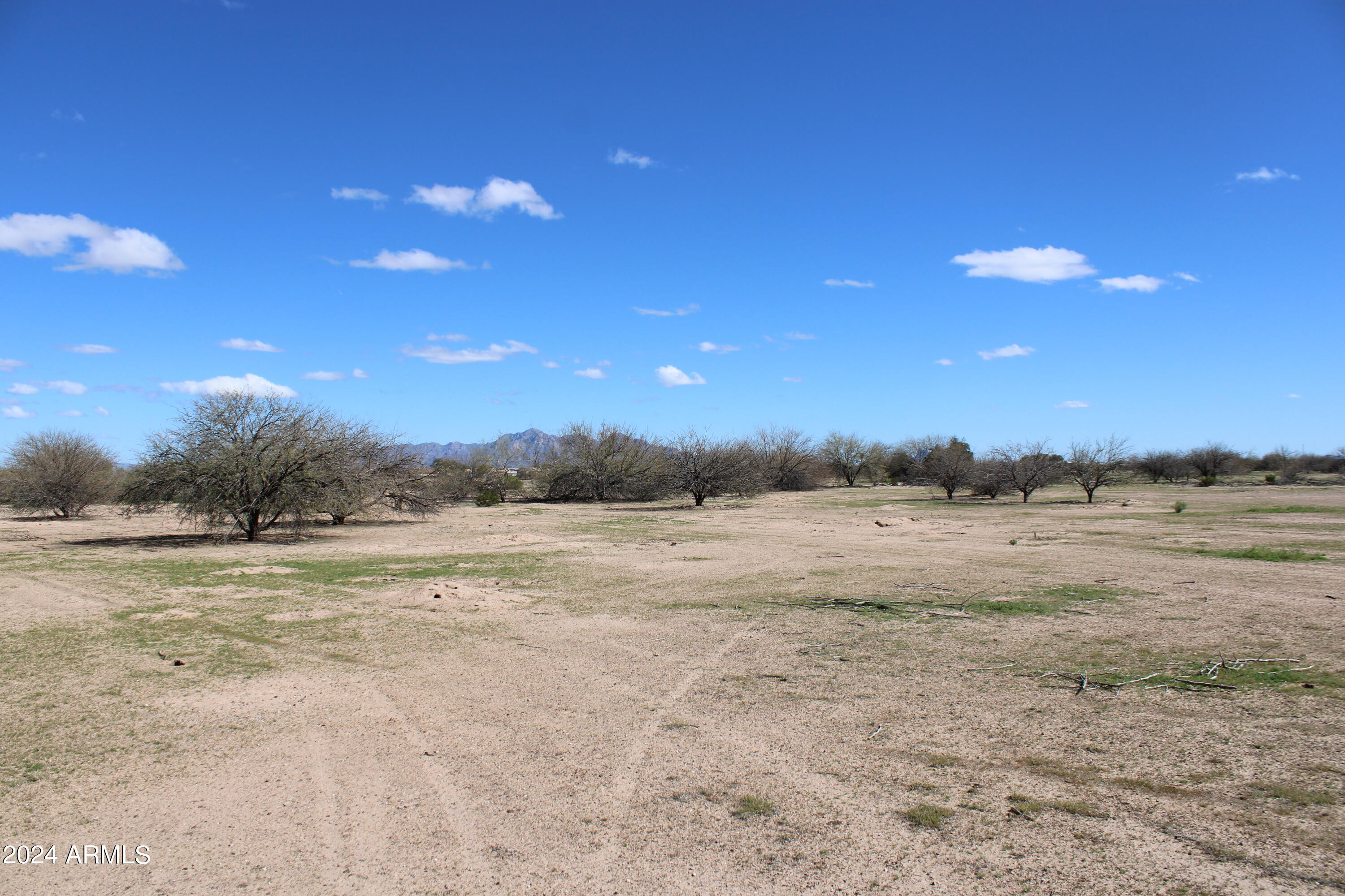 3335 W ATLANTIC Drive 19