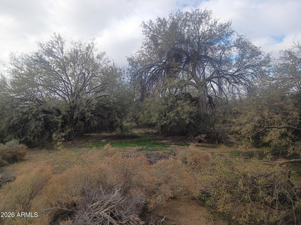 Photo of 213 W Elliot Road #'''-''', Buckeye, AZ 85326 (MLS # 6972938)