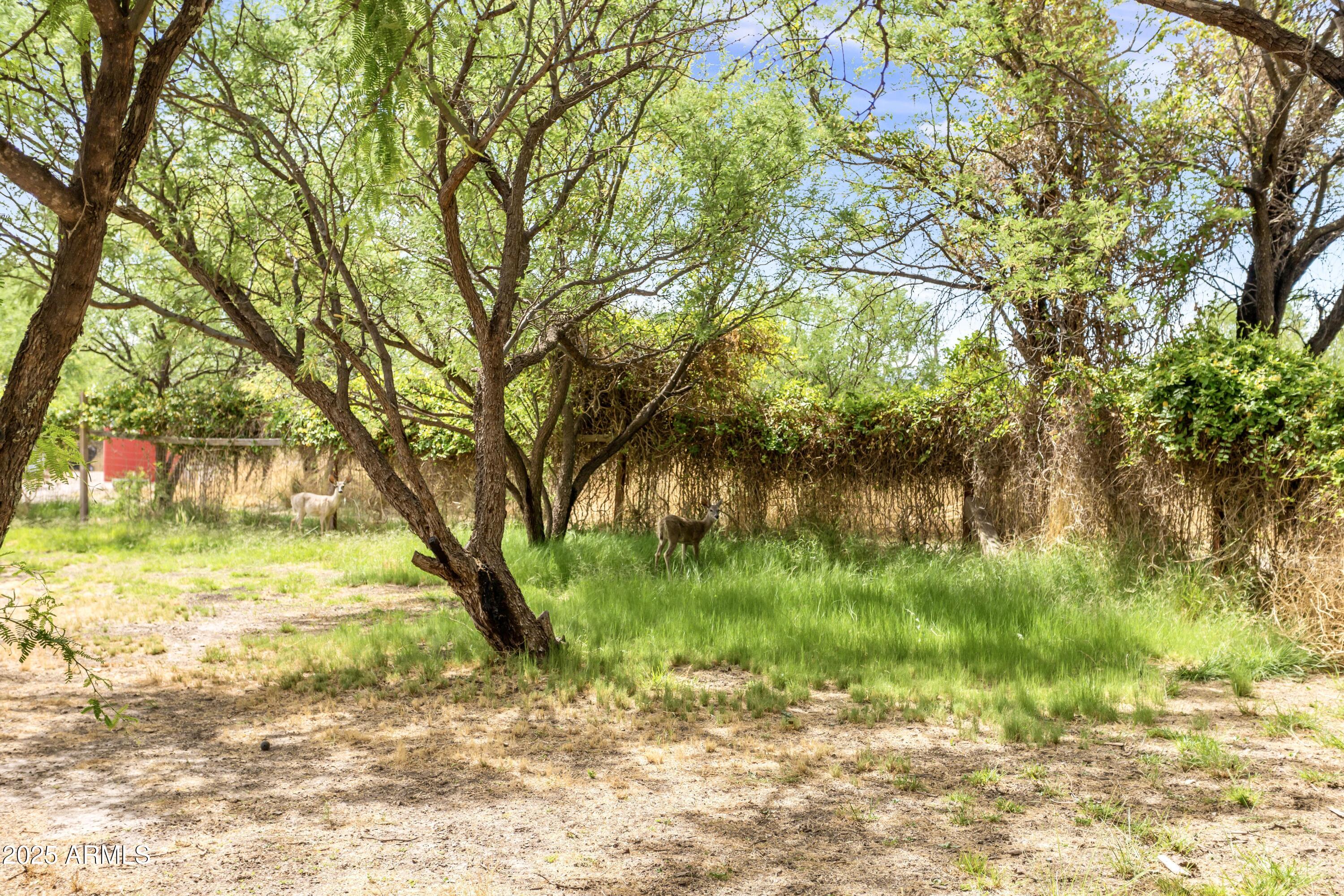 1366 E COTTONWOOD Lane
