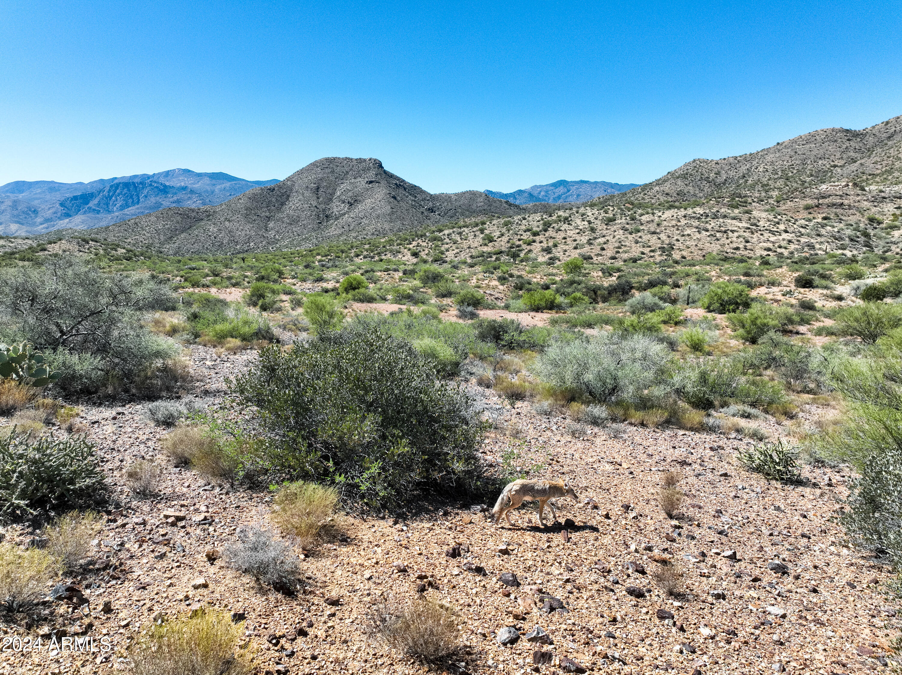 BRADSHAW MOUNTAIN RANCHES - Land