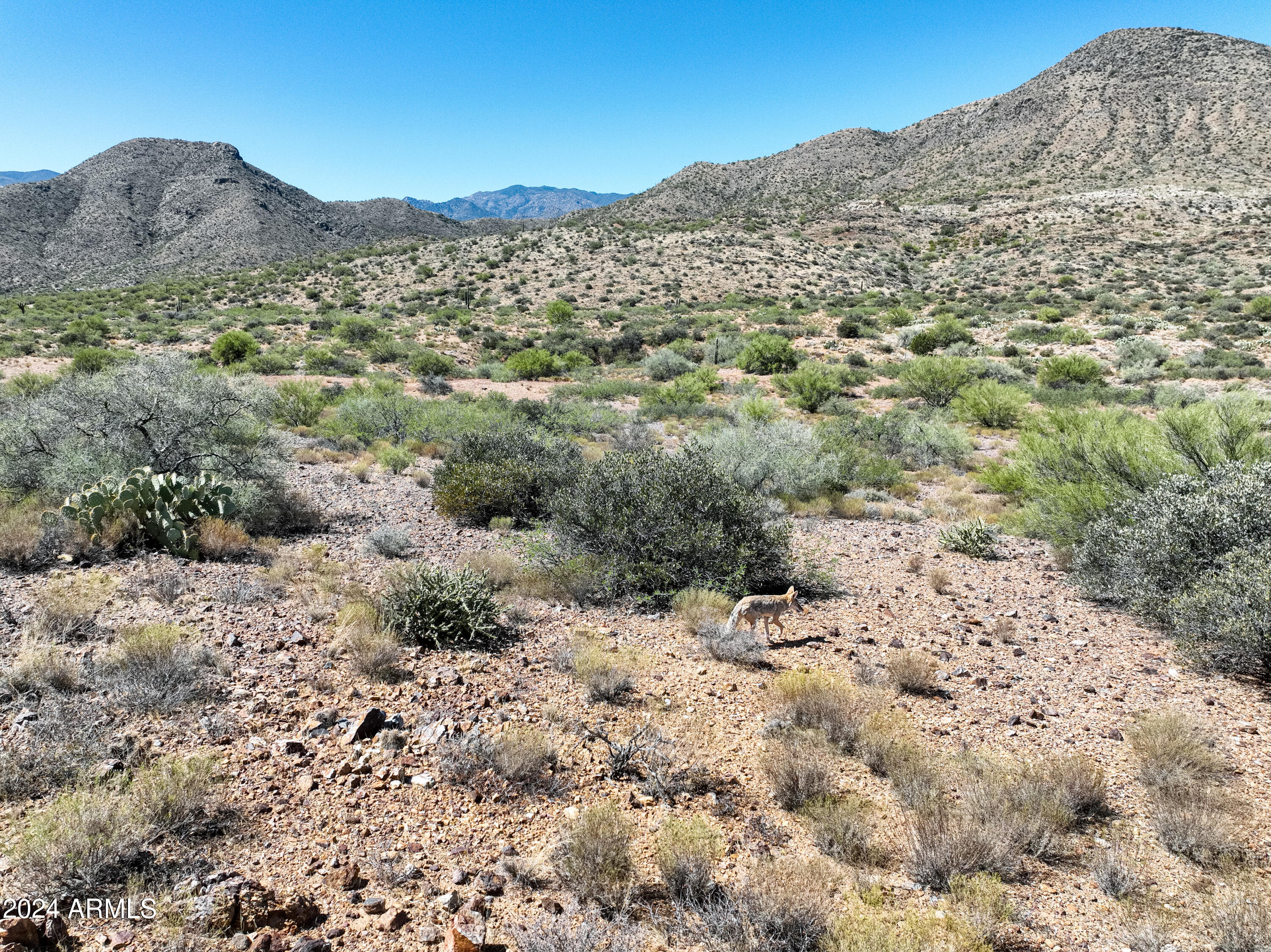 BRADSHAW MOUNTAIN RANCHES - Land