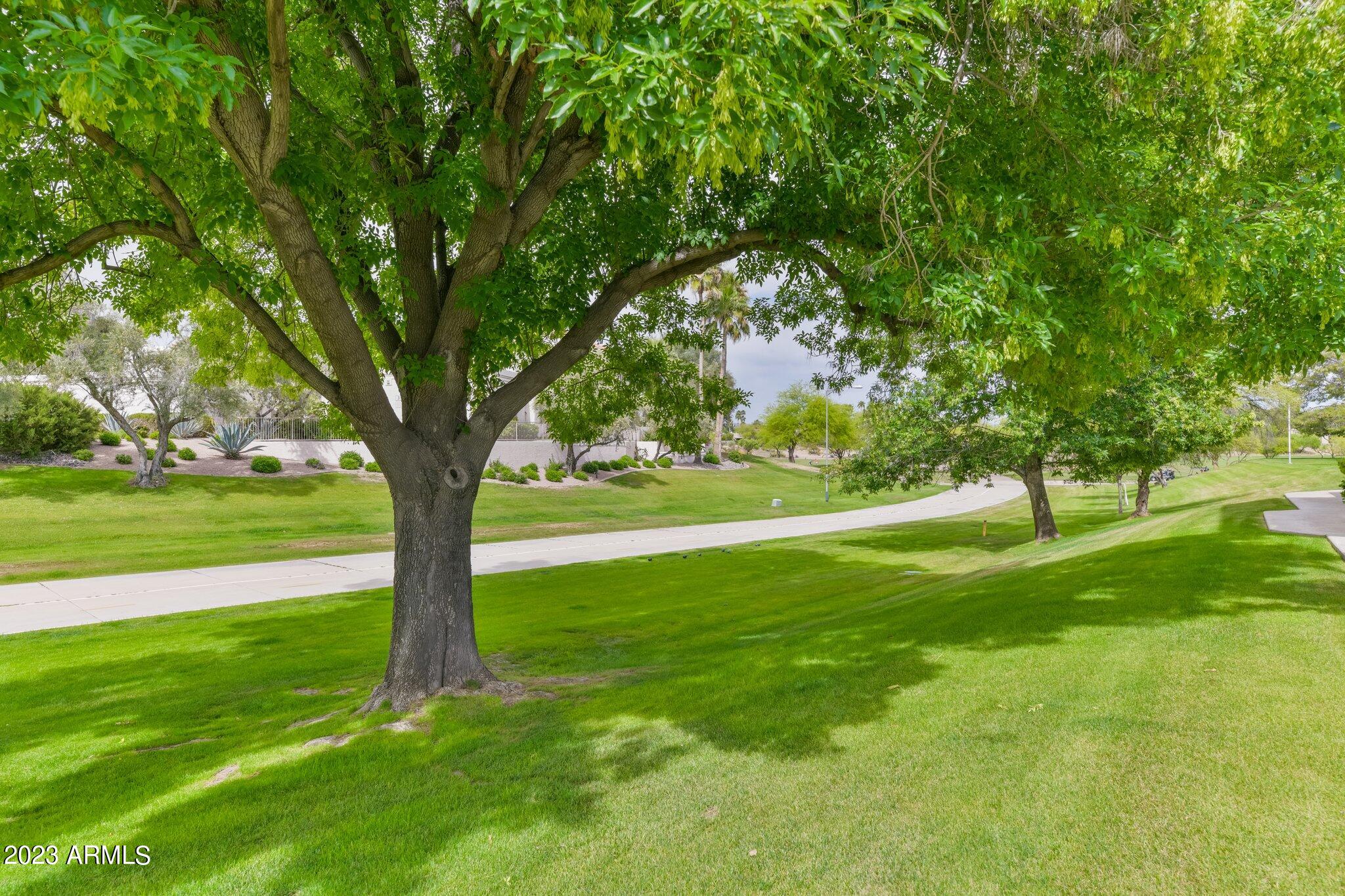 6349 N 78TH Street 97