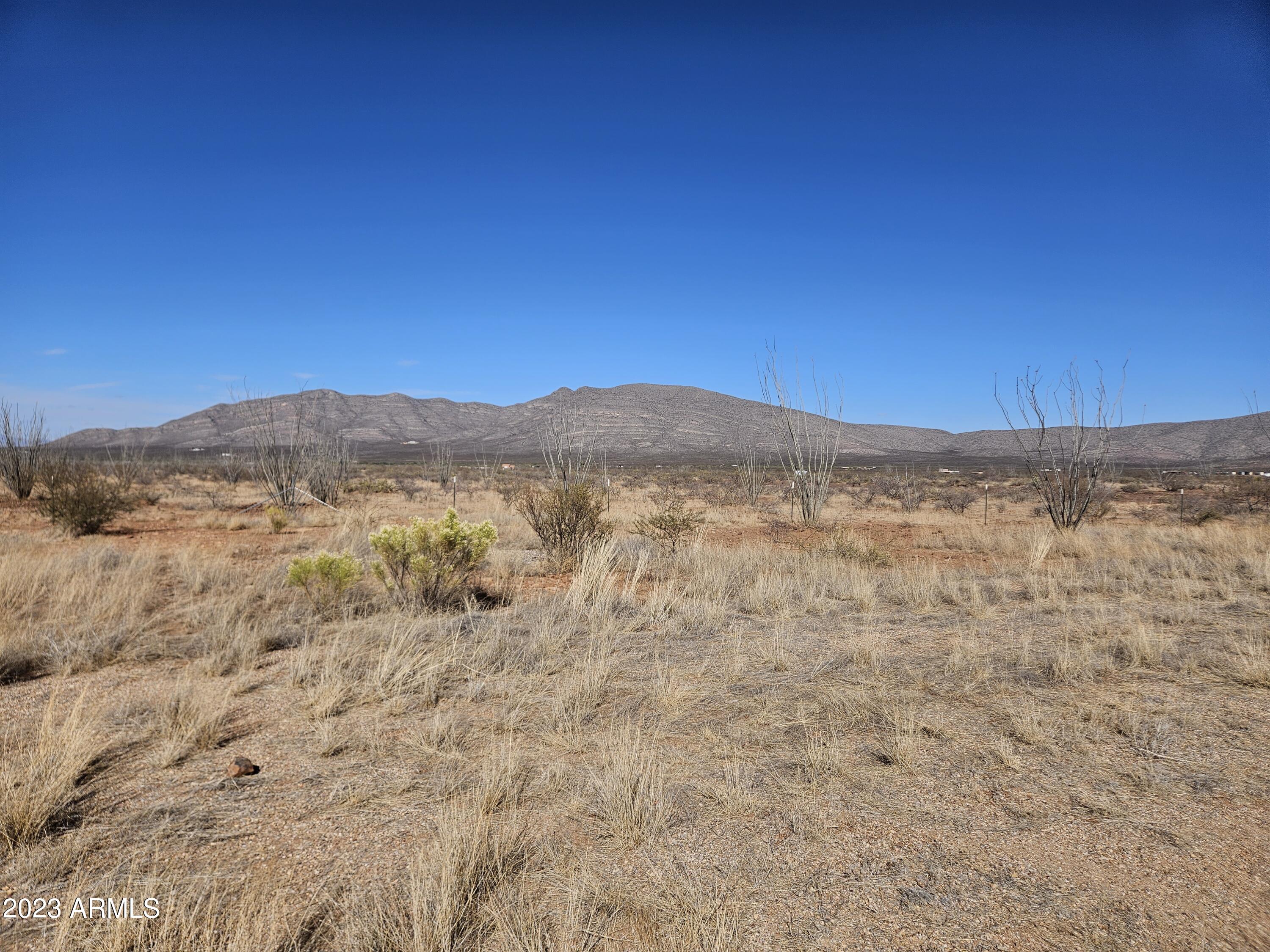 MULE MOUNTAIN RANCHES PHASE 2 - Land