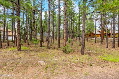 3781 GRIFFITHS Spring 451 Flagstaff AZ 86005