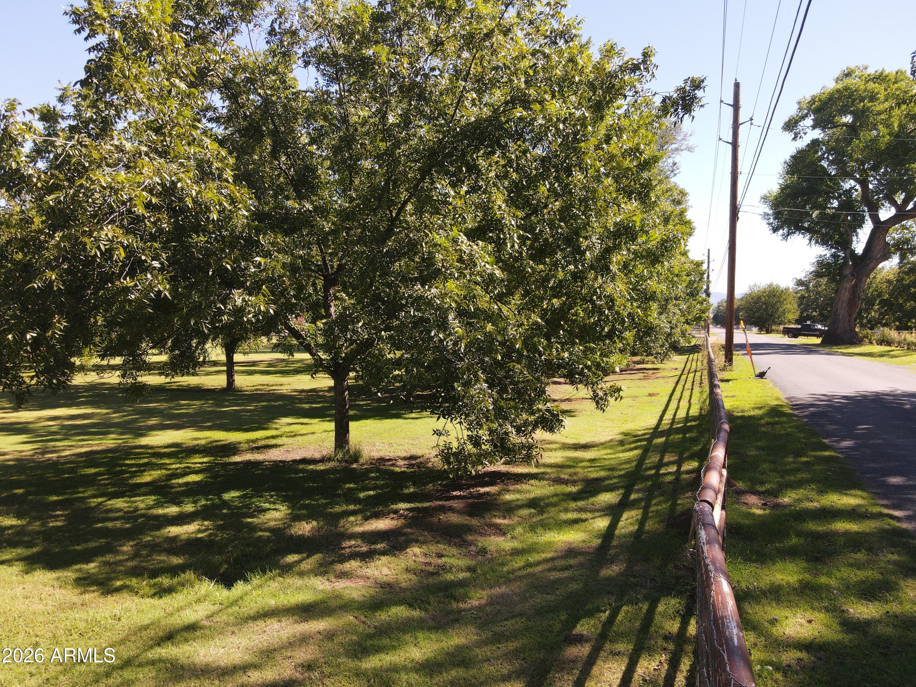 166 E QUARTERHORSE Lane -