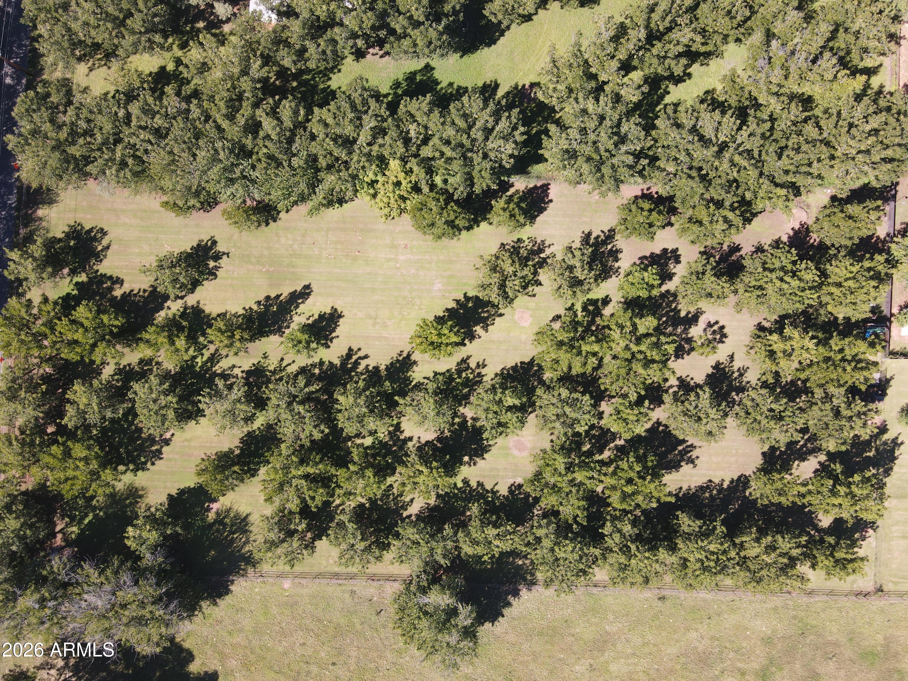 166 E QUARTERHORSE Lane -