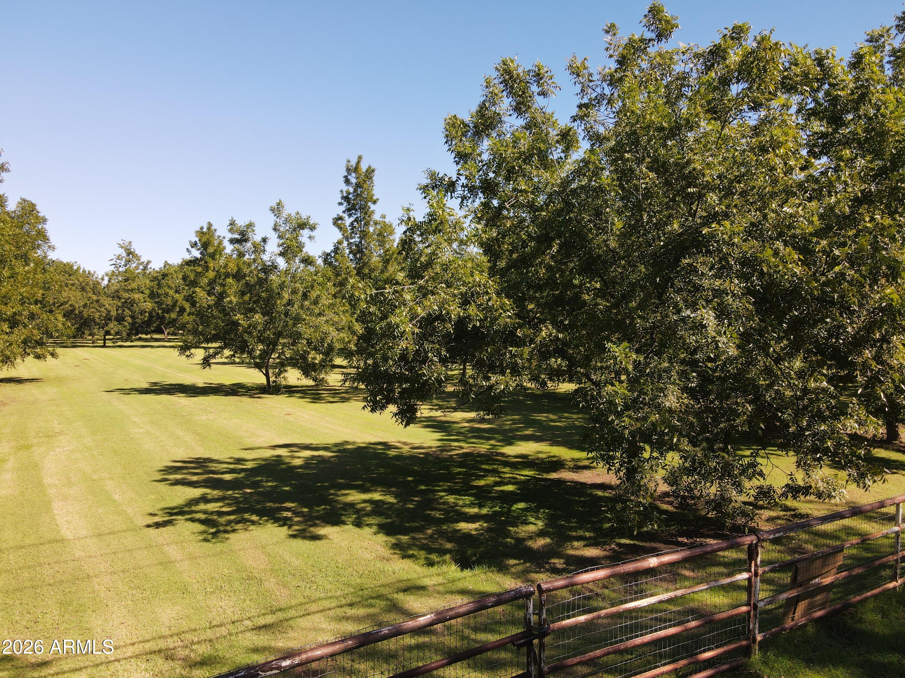 166 E QUARTERHORSE Lane -