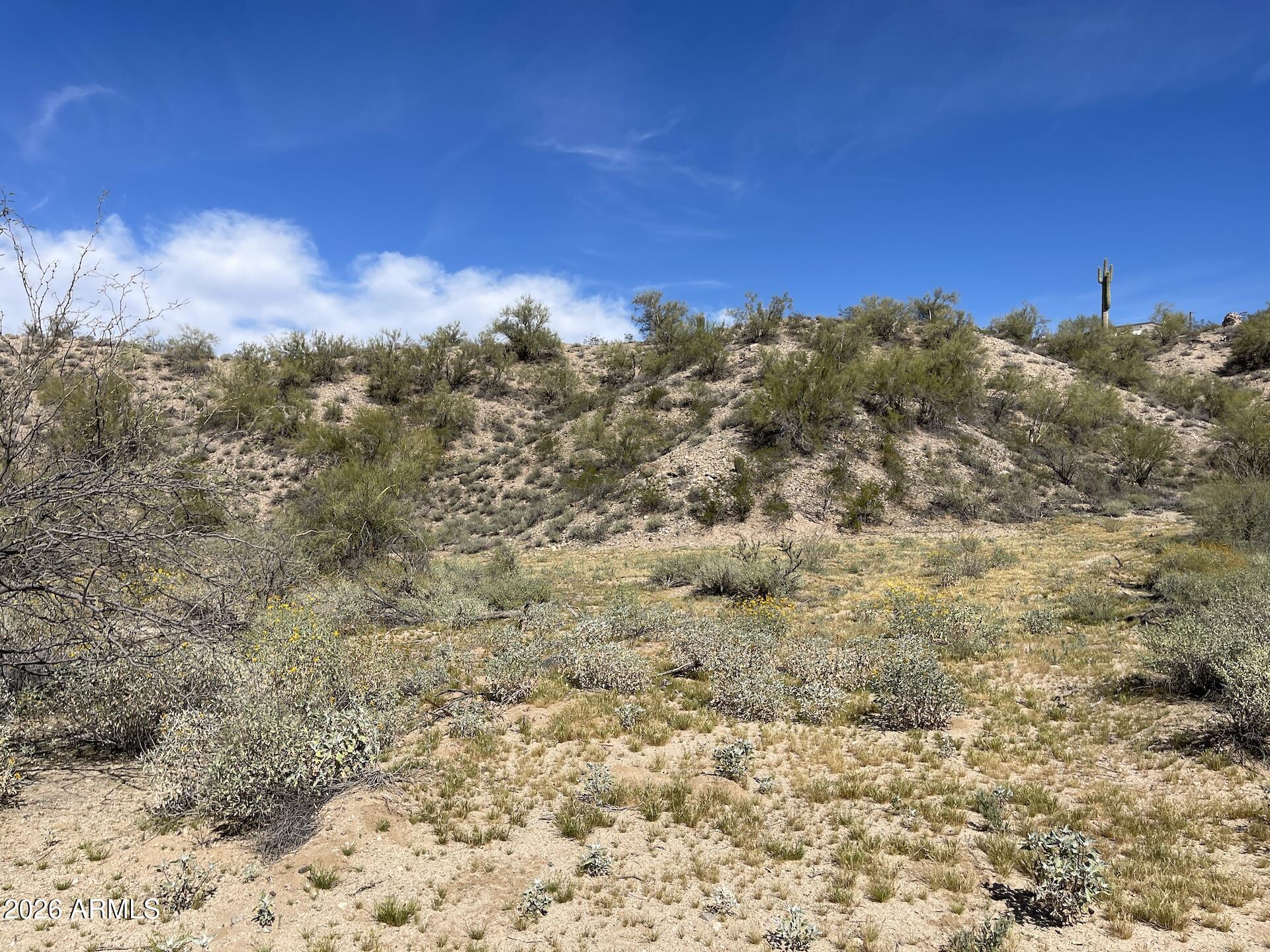 41XX3 N 276th Avenue 3