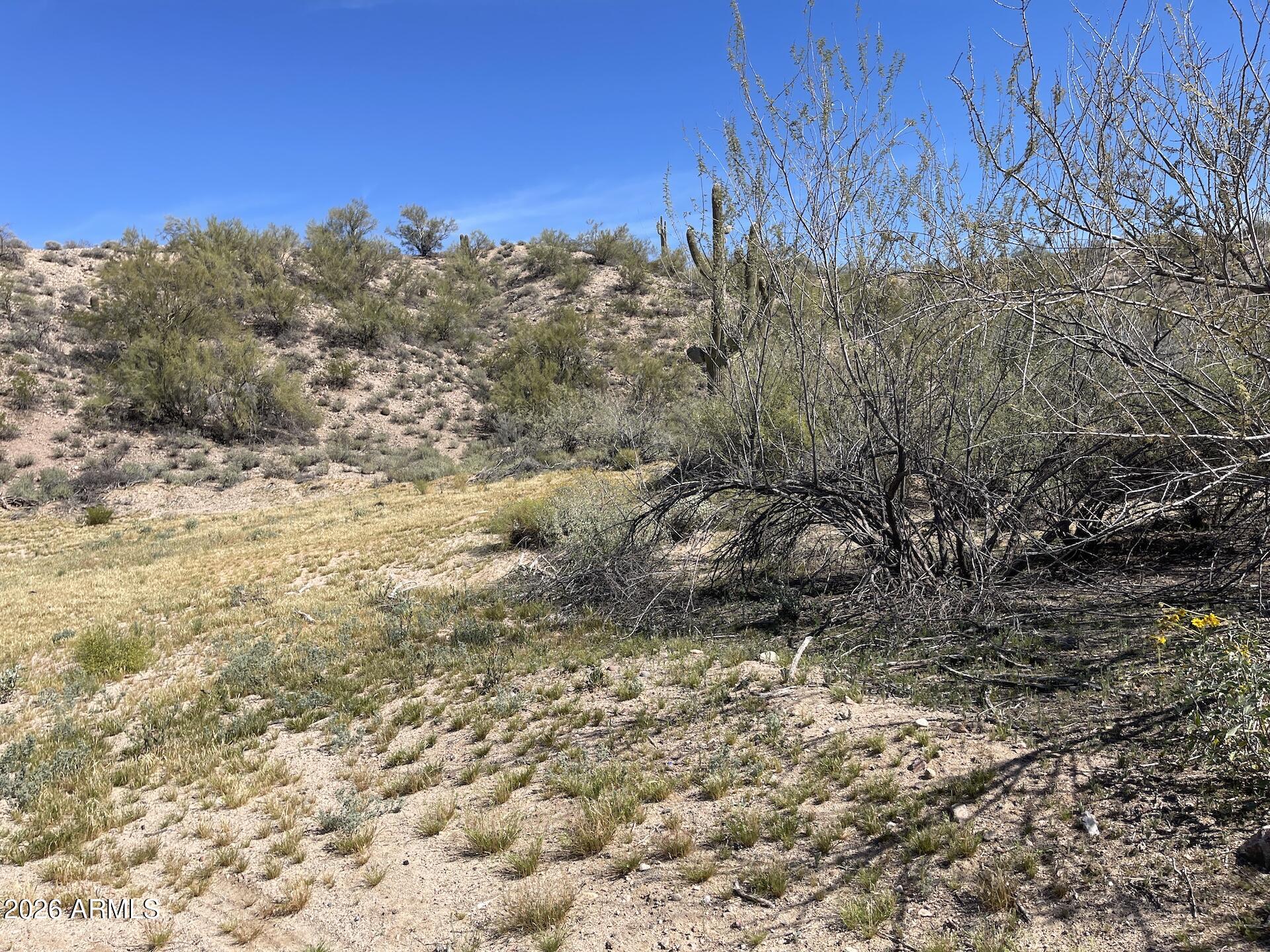 41XX3 N 276th Avenue 3