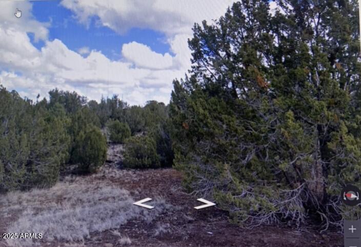 WHITE MOUNTAIN LAKE ESTATES - Land