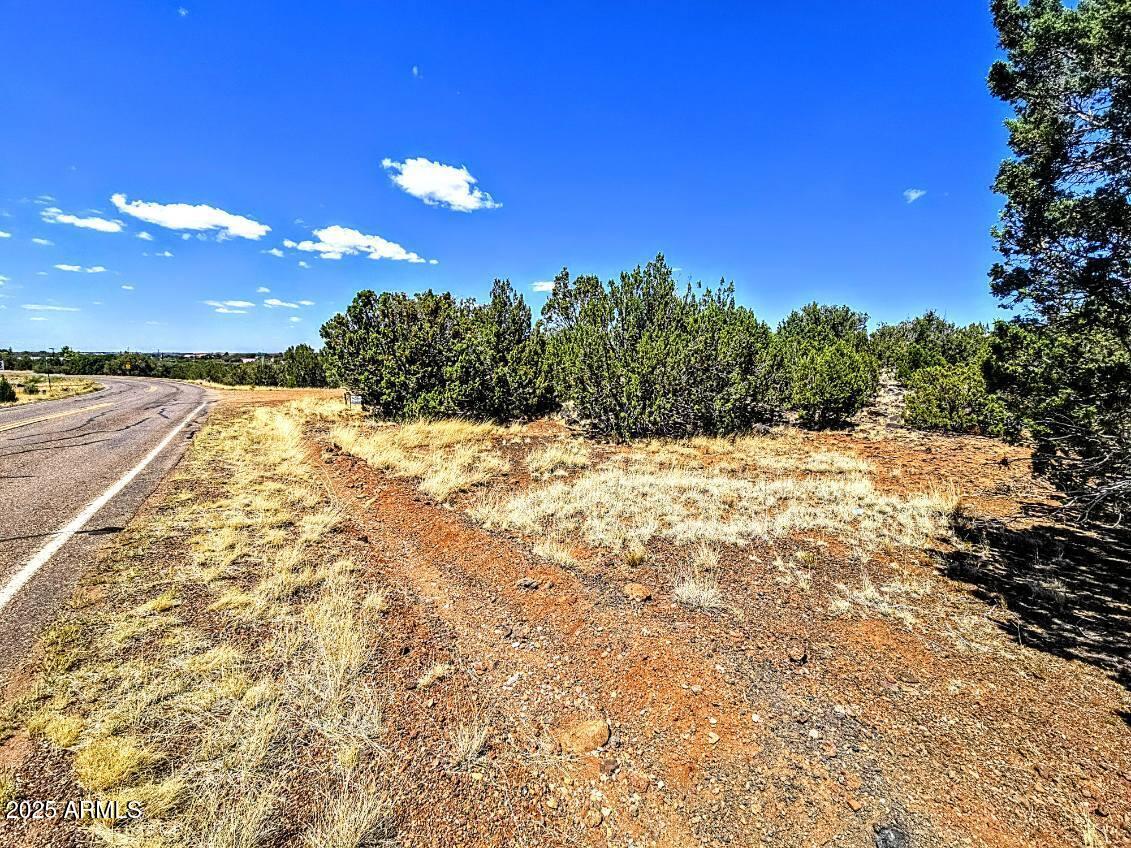 8426 Silver Creek Drive 1