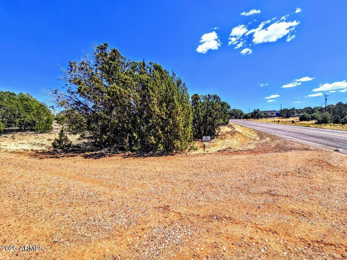 8426 Silver Creek Drive 1