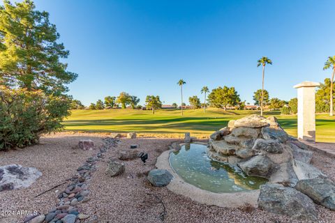 402 W BEECHNUT Place Sun Lakes AZ 85248