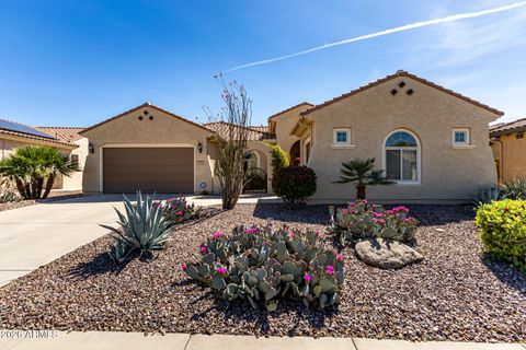 6995 W TRENTON Way Florence AZ 85132