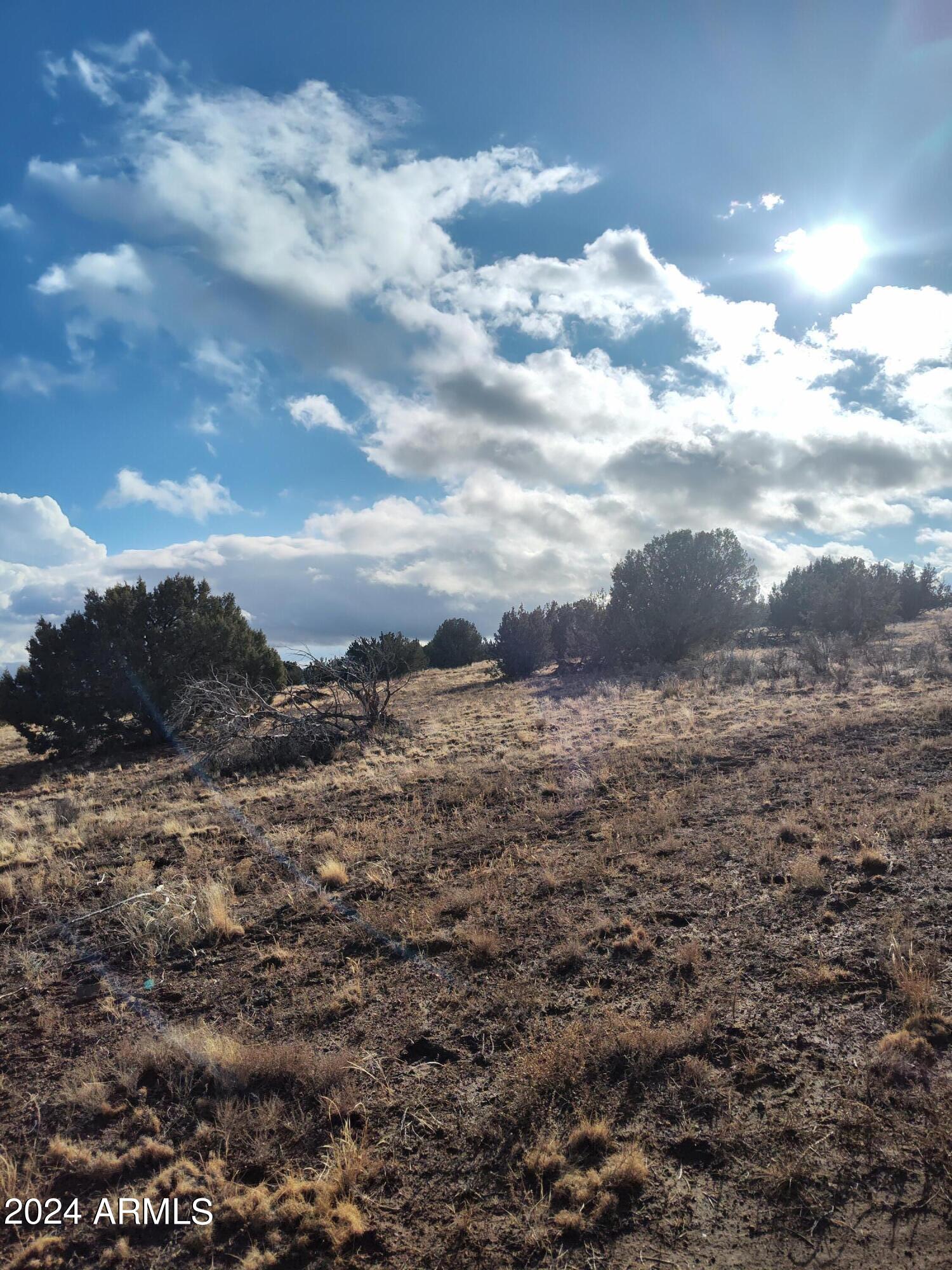 17400 S LASSEN Place 0113