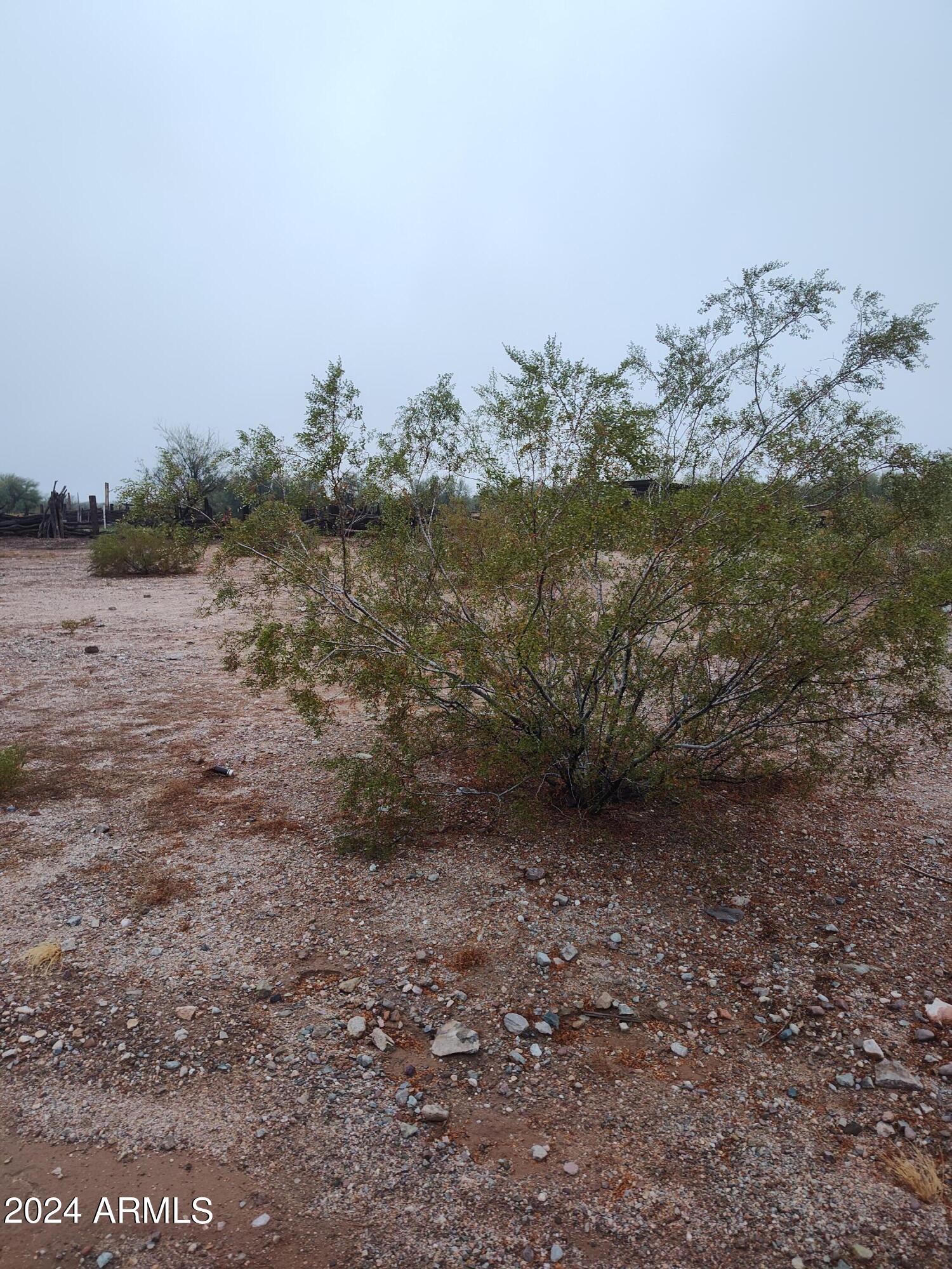 17400 S LASSEN Place 0113