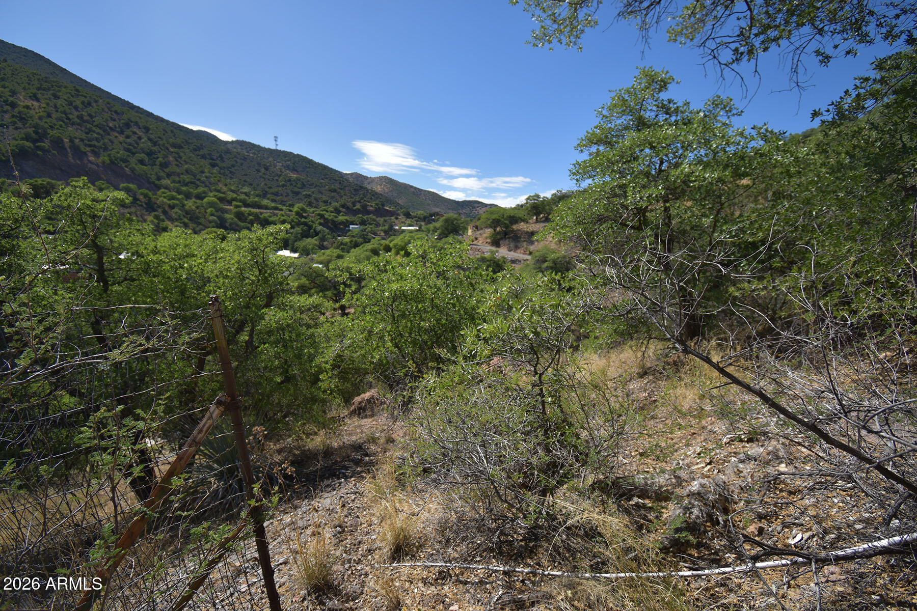 Bisbee City Lots 150-152 - Land