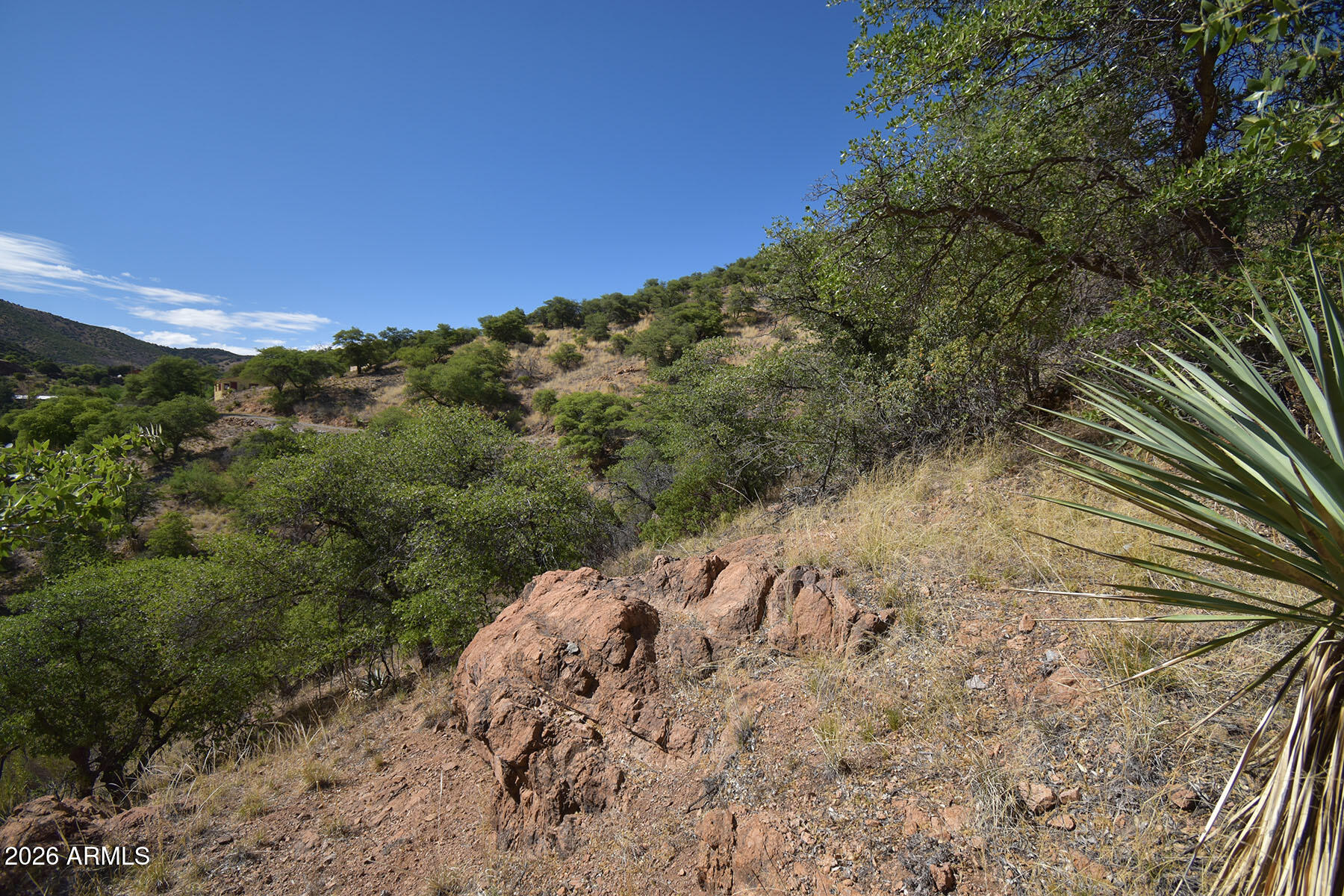 Bisbee City Lots 150-152 - Land