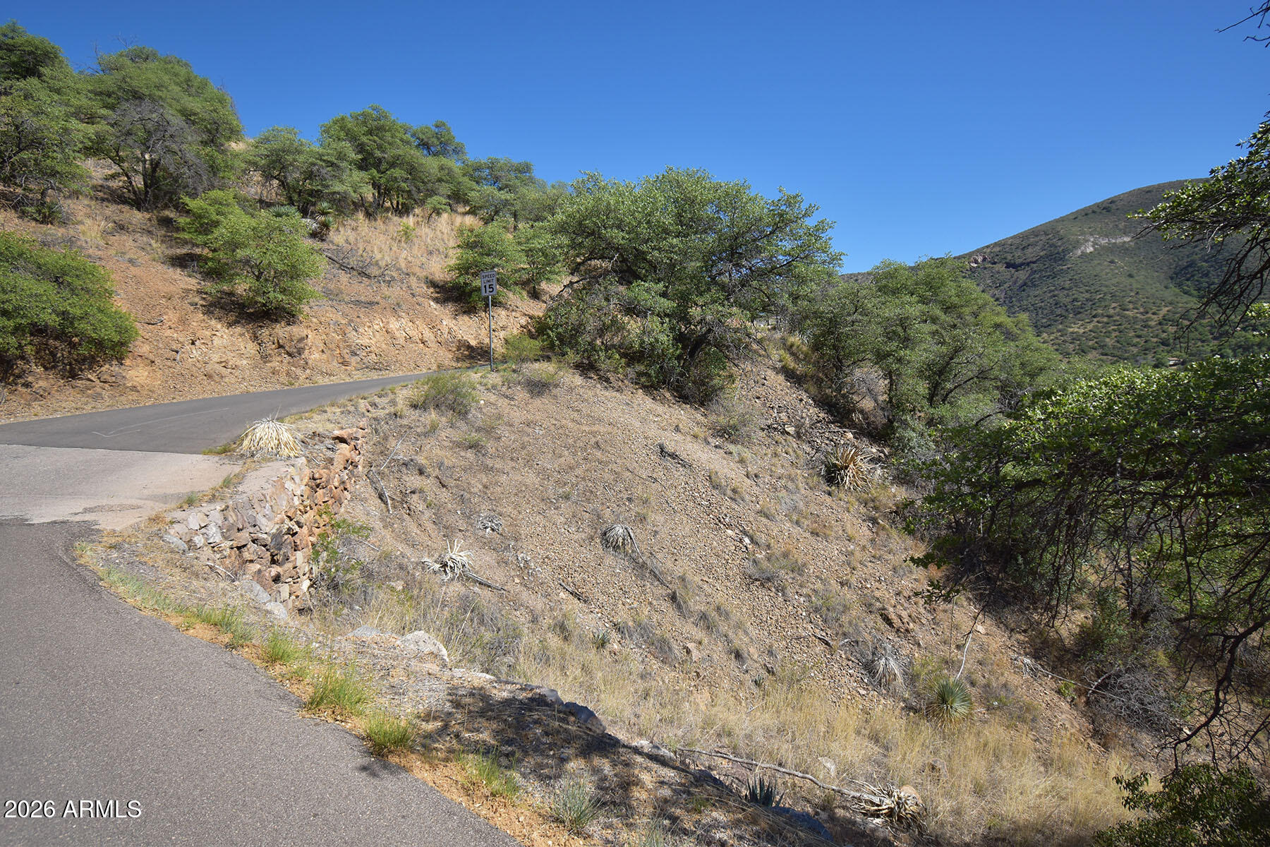 Bisbee City Lots 150-152 - Land