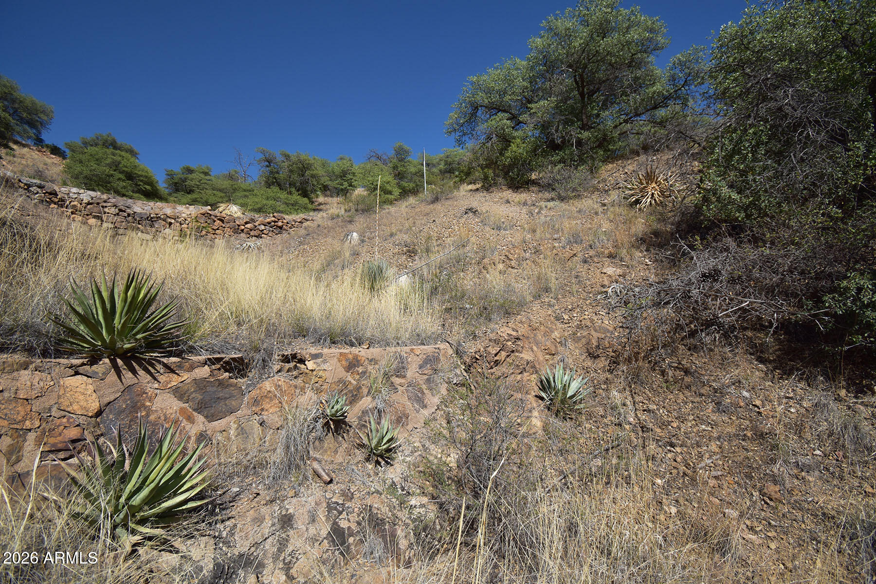 Bisbee City Lots 150-152 - Land