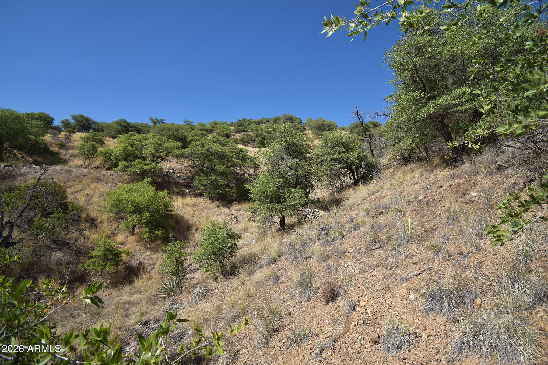 Bisbee City Lots 150-152 - Land