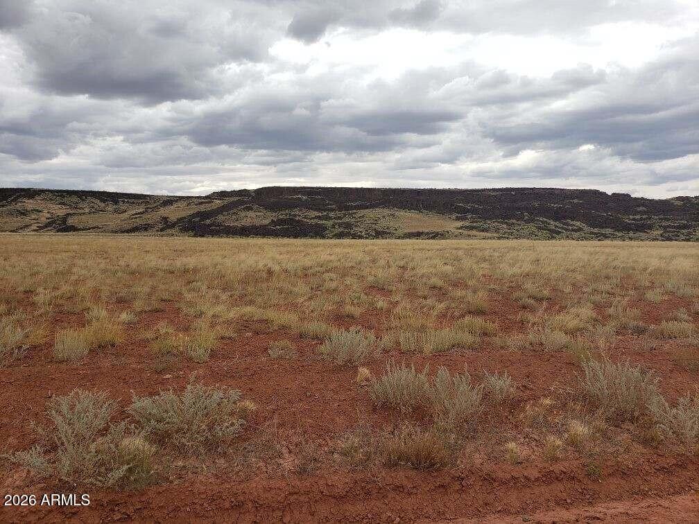 N6700 N N6700 -- 204-77-451