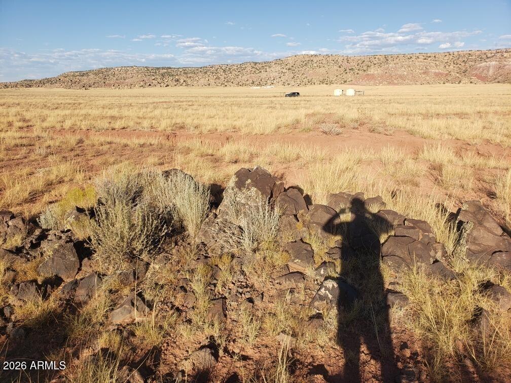 N6700 N N6700 -- 204-77-451