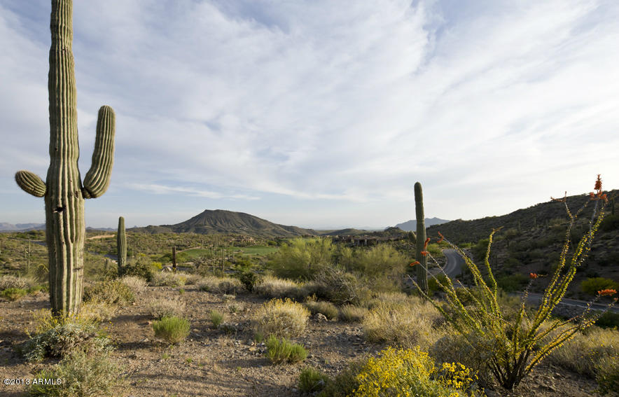 Desert Mountain - Residential
