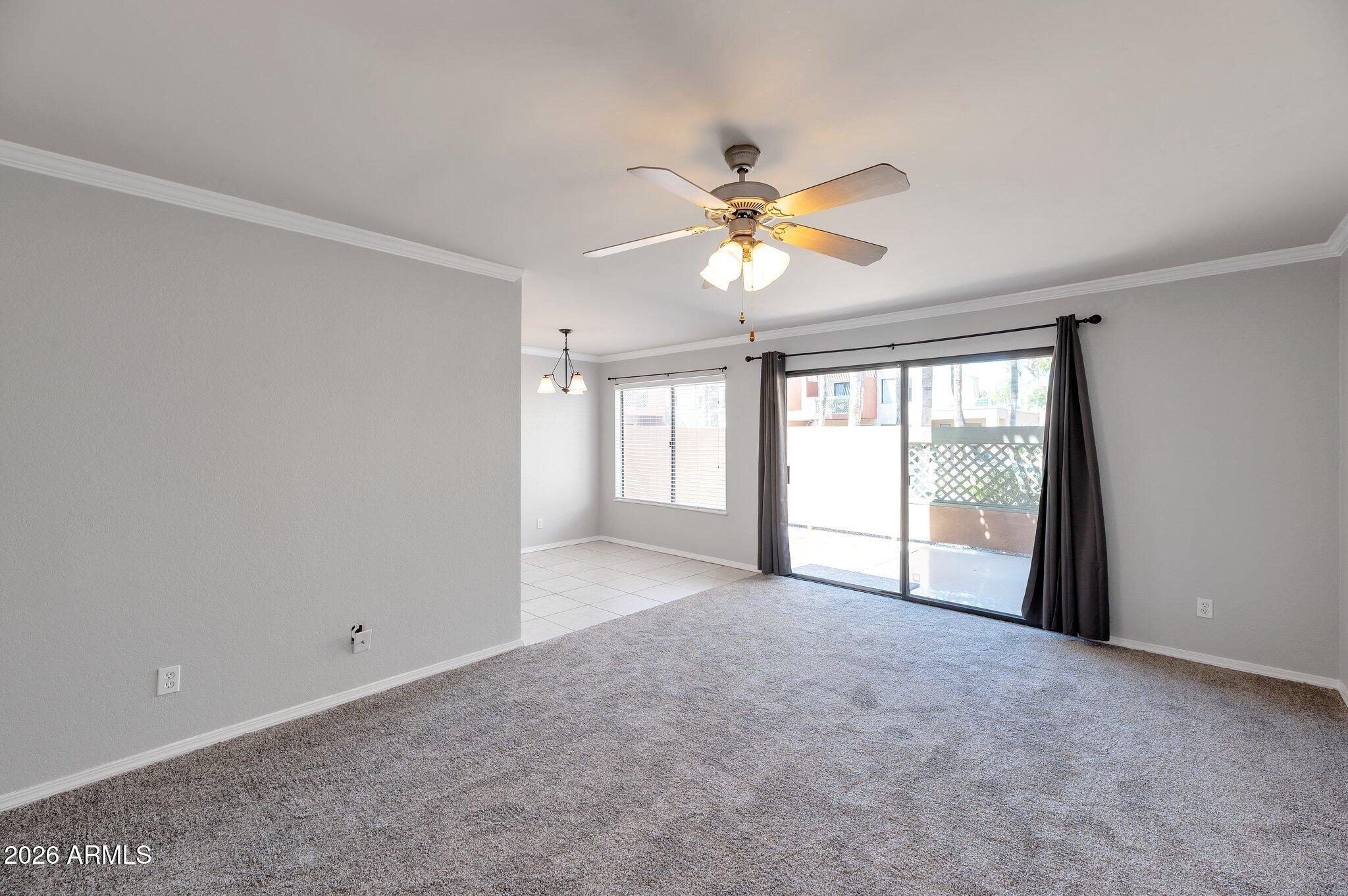 3500 N HAYDEN Road 205