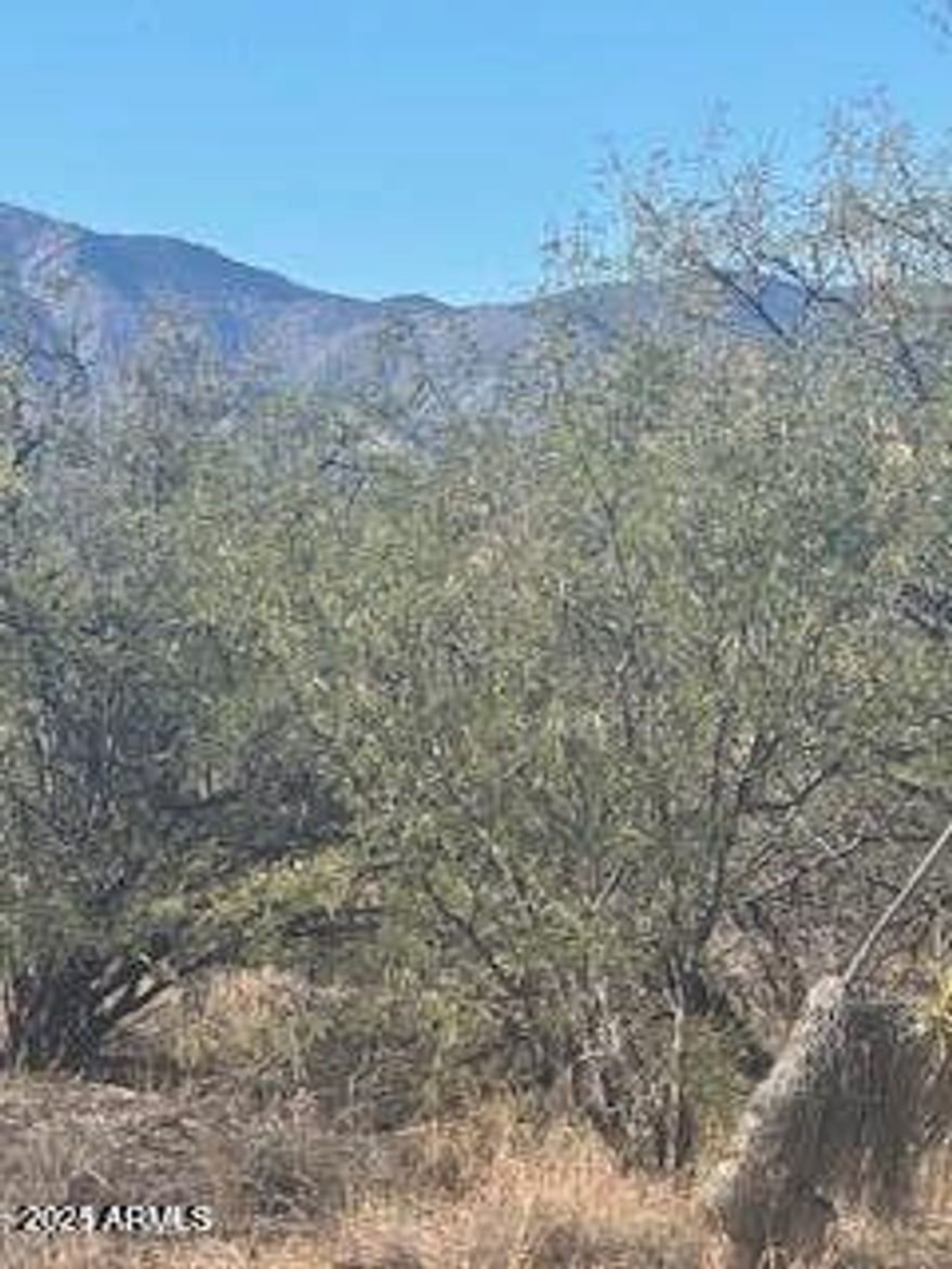 NEARLY 5 AC'S WITH AMAZING MOUNTAIN VIEWS HORSE PROPERTY 1982 SINGLE WIDE MOBILE HOME AND ALL CONTENTS TO CONVEY WITH NO WARRENTS AND OR GUARANTEES.BUYER TO INSPECT WELL APPEARS TO NEED A PUMP ETC..
