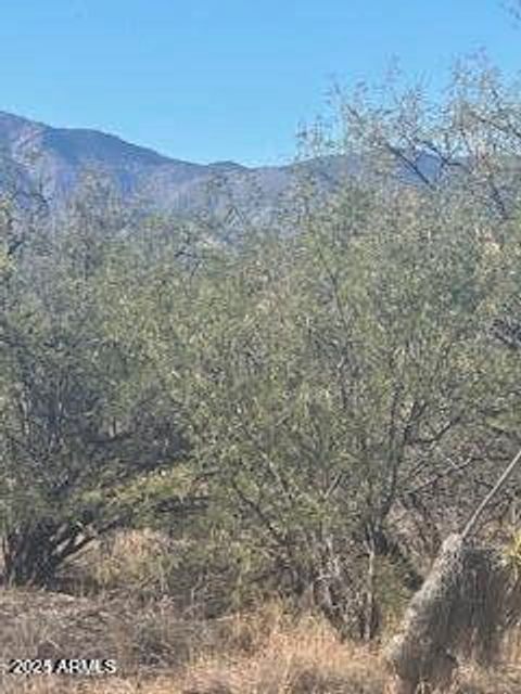 597 E WILDCAT Lane 1 Huachuca City AZ 85616