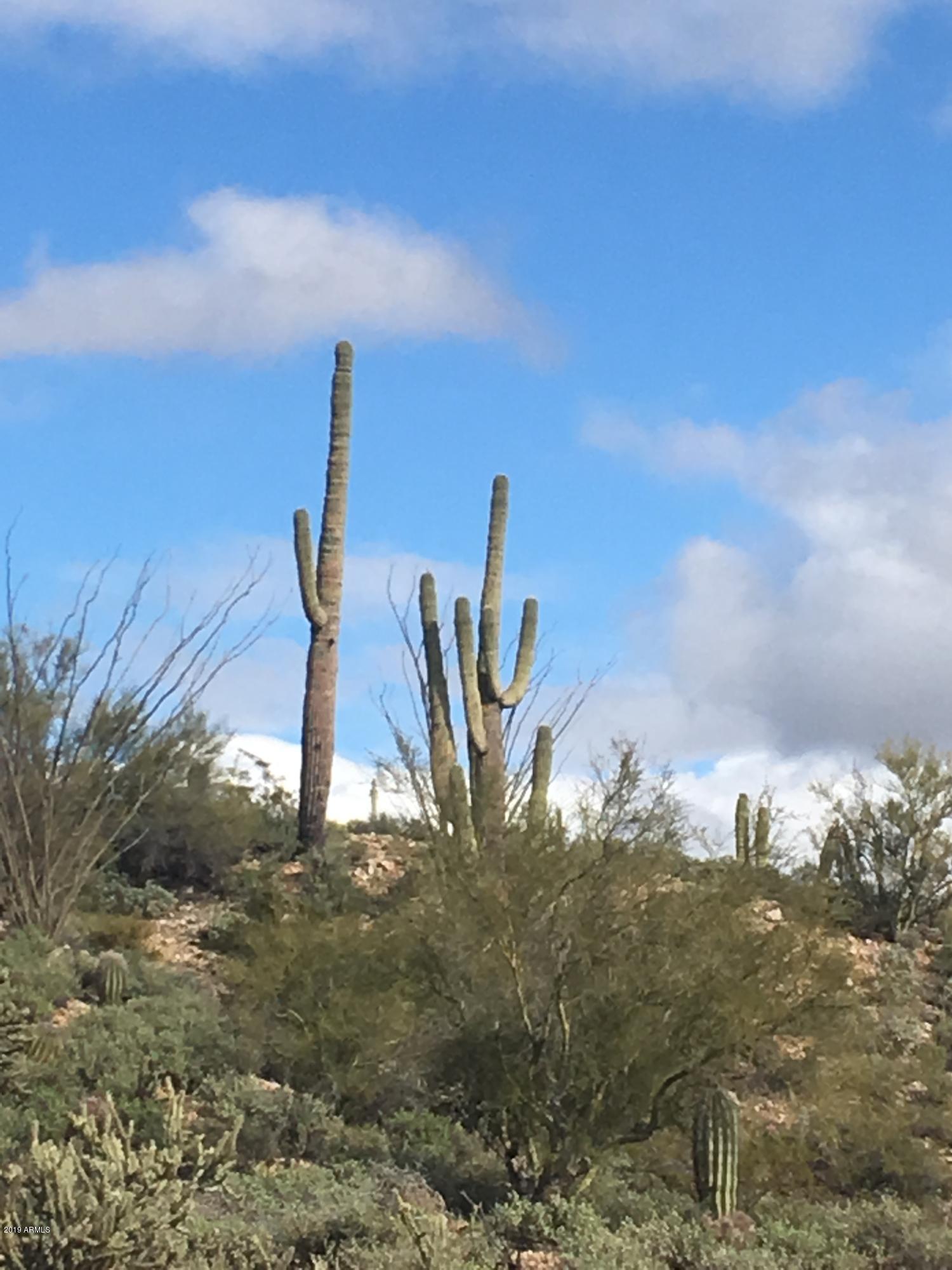 86.346 AC. STONEHEDGE RANCH Road 6