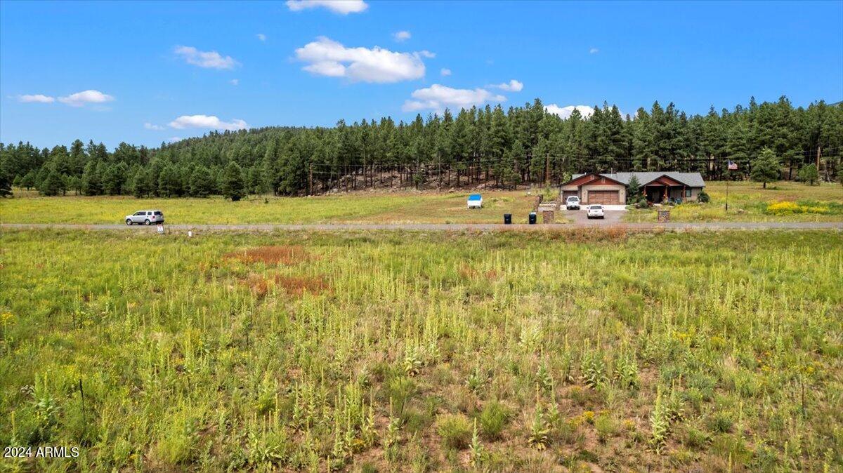 9290 RANCH AT THE PEAKS Way 12