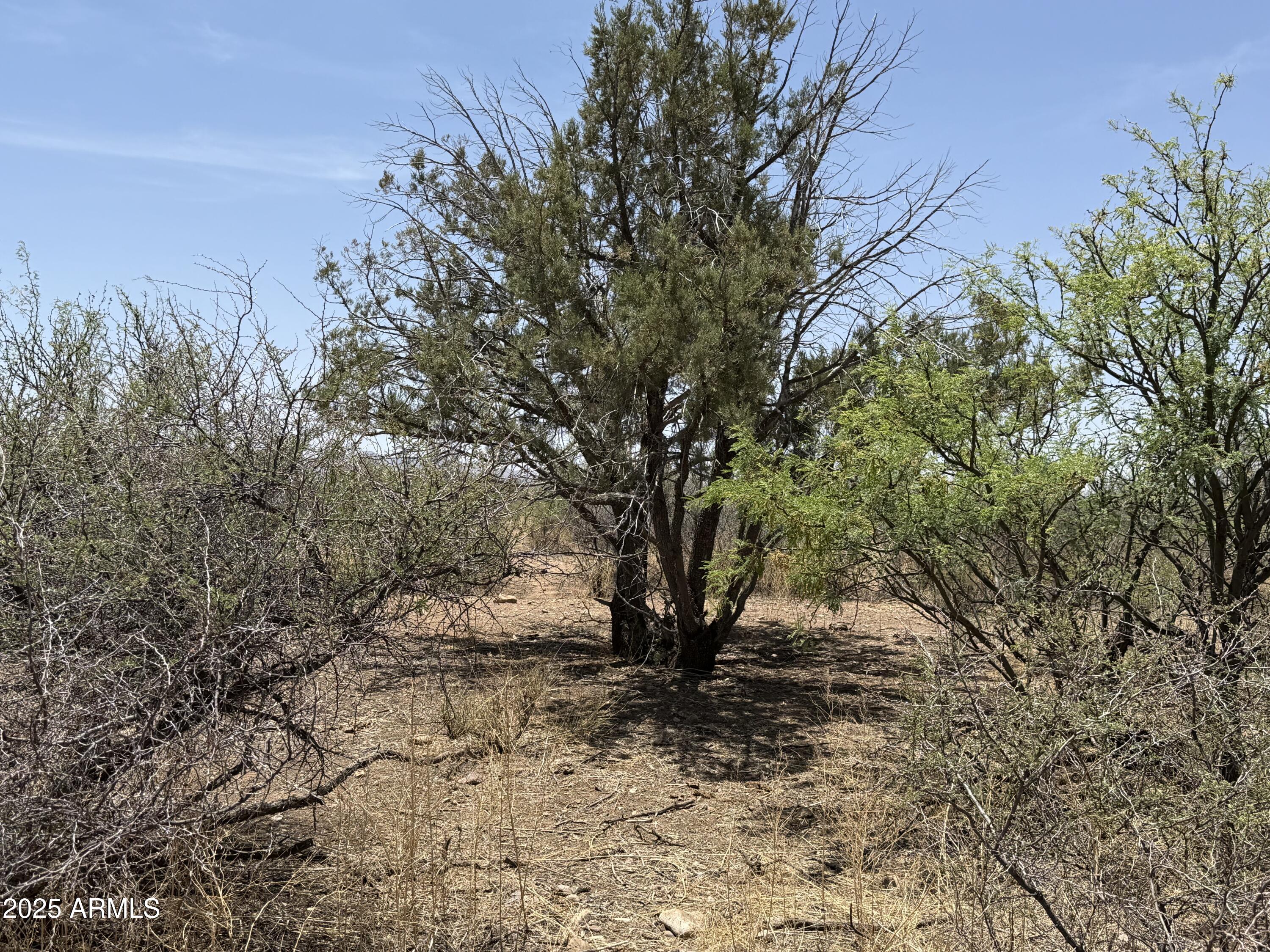 Homes 4 20 ac S Price Ranch Road -