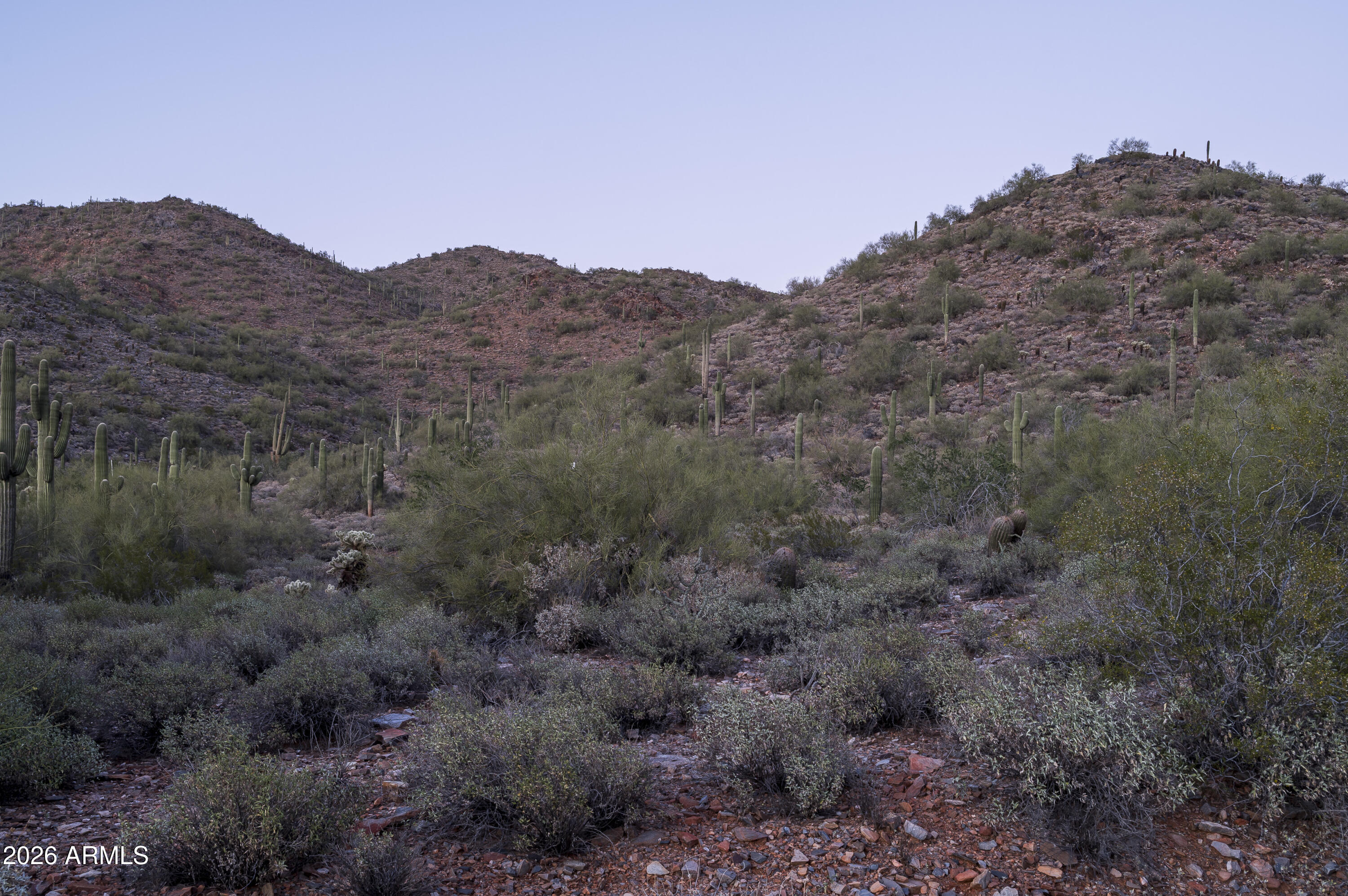 10500 E LOST CANYON Drive 22