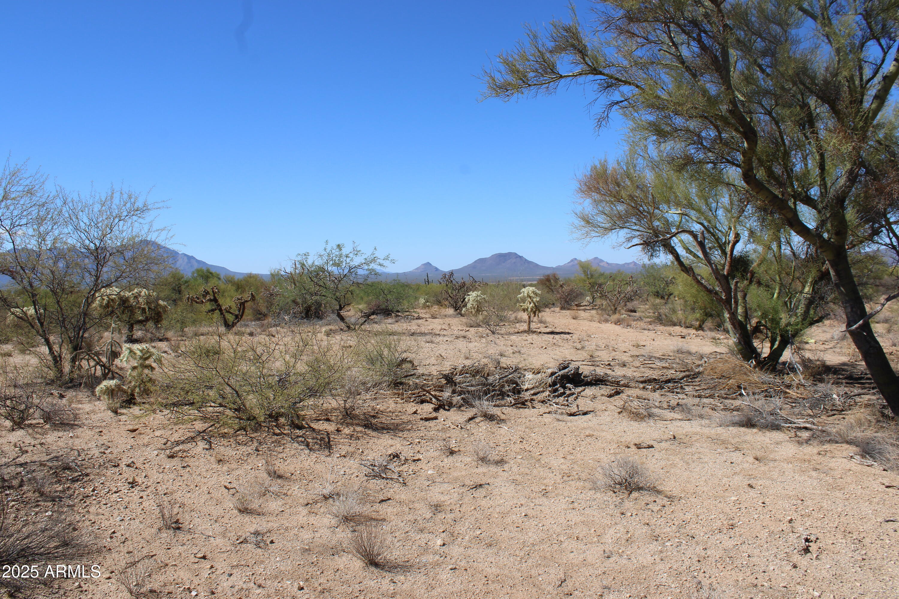DIAMOND BELL RANCH TUCSON - Land