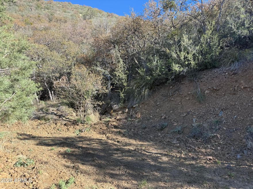 Here is your opportunity to build your own custom Crown King cabin on this off-grid parcel. Located high above Crown King with year round access. 4-wheel drive required. Additional acreage available, MLS number: 7006032. Tall pines, seclusion, shared driveway, small building pad and borders Prescott National Forest. Only 1.5 hours from North Phoenix, yet far from ordinary.