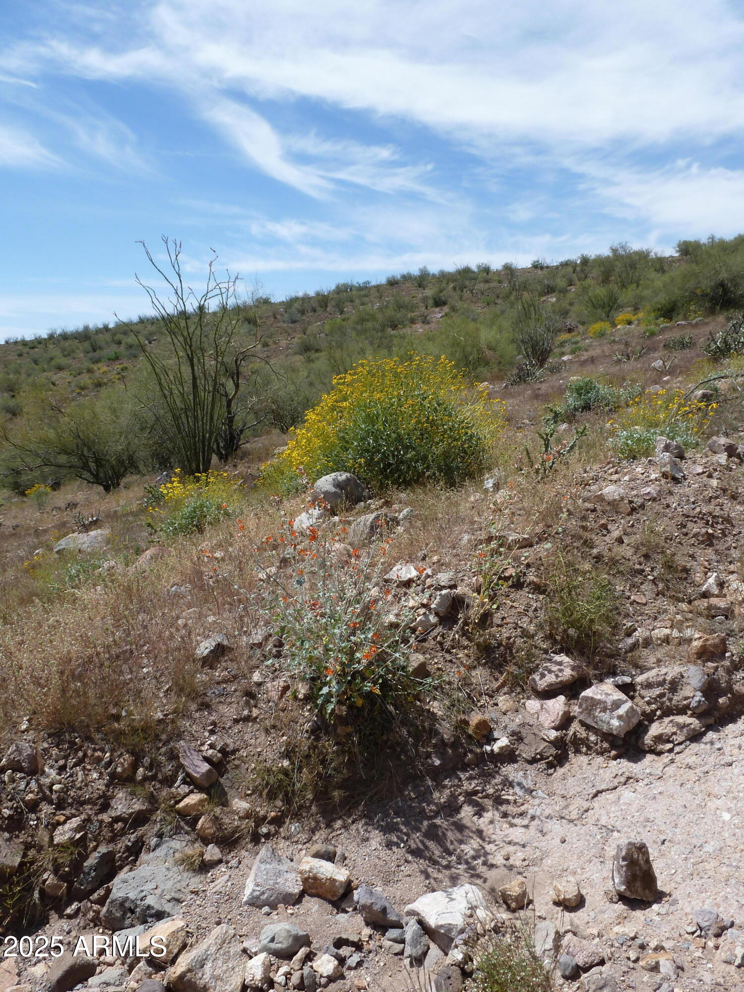PLEASANT COUNTRY RANCHES - Land