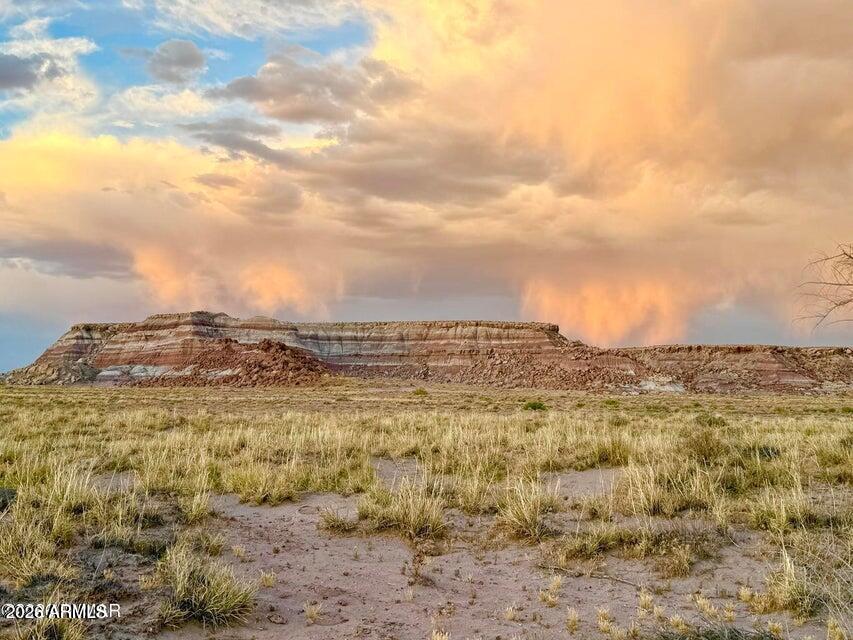 8983 Down Under Rd 38.82 Acres -- -