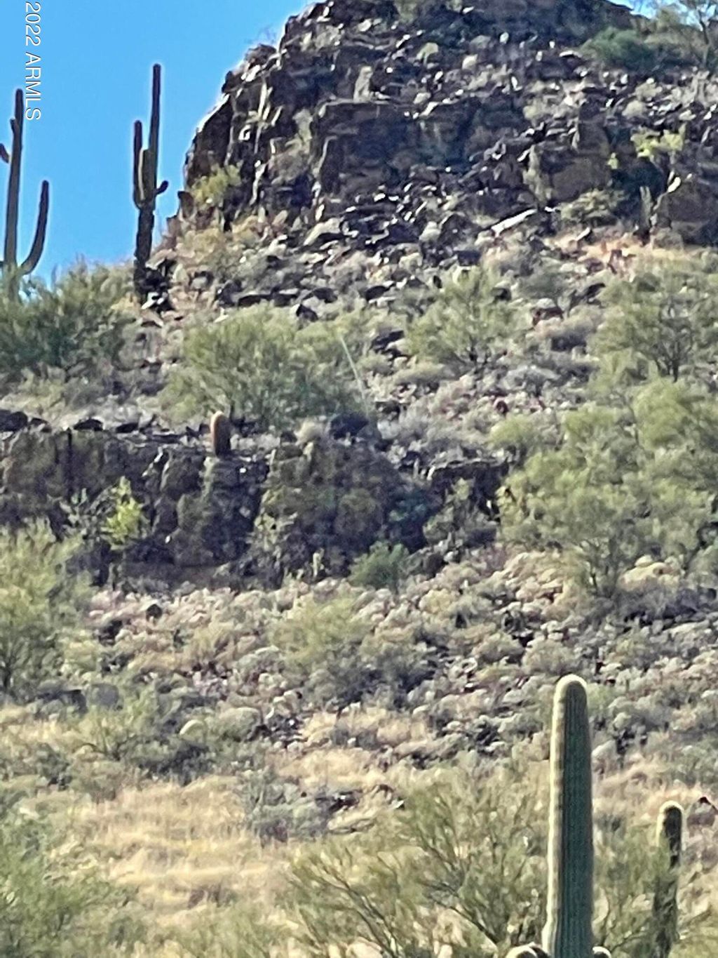Photo of 43000 N 10th Street #0, New River, AZ 85087 (MLS # 6453451)