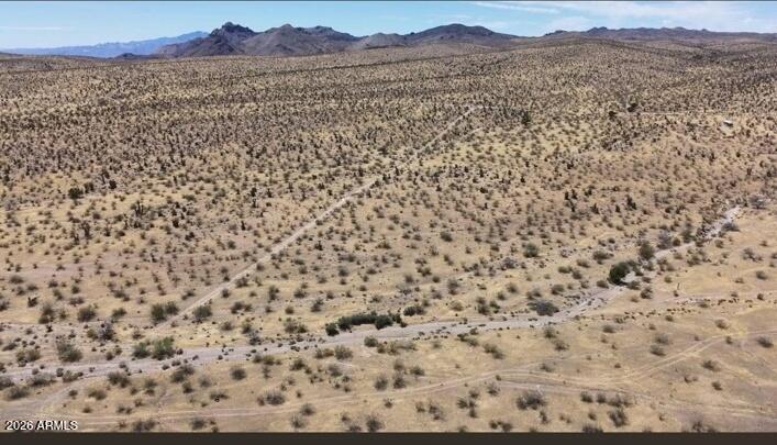 Photo of 0 Unassigned #58, Dolan Springs, AZ 86441 (MLS # 7095191)