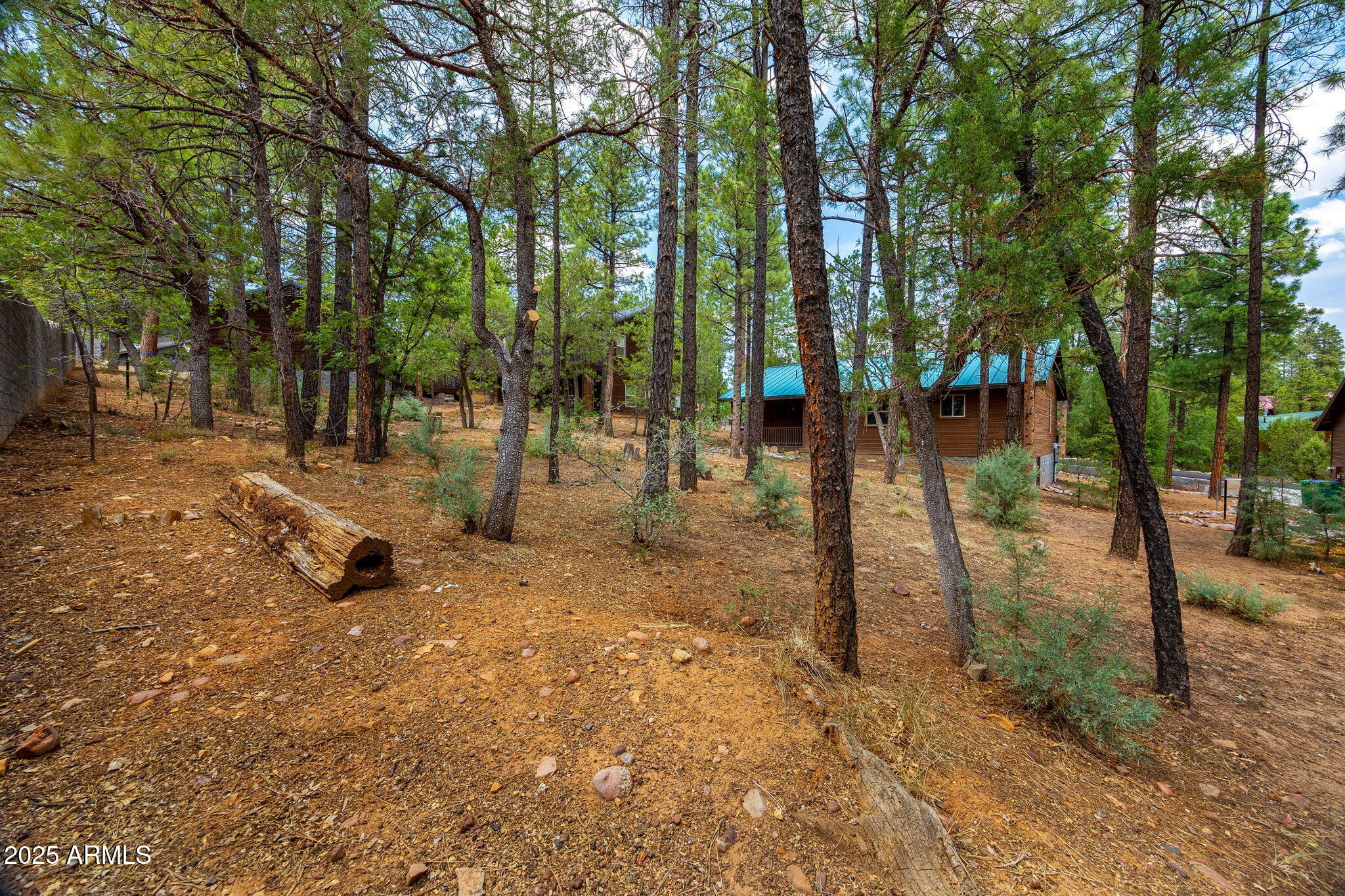 CEDAR RIDGE - Residential