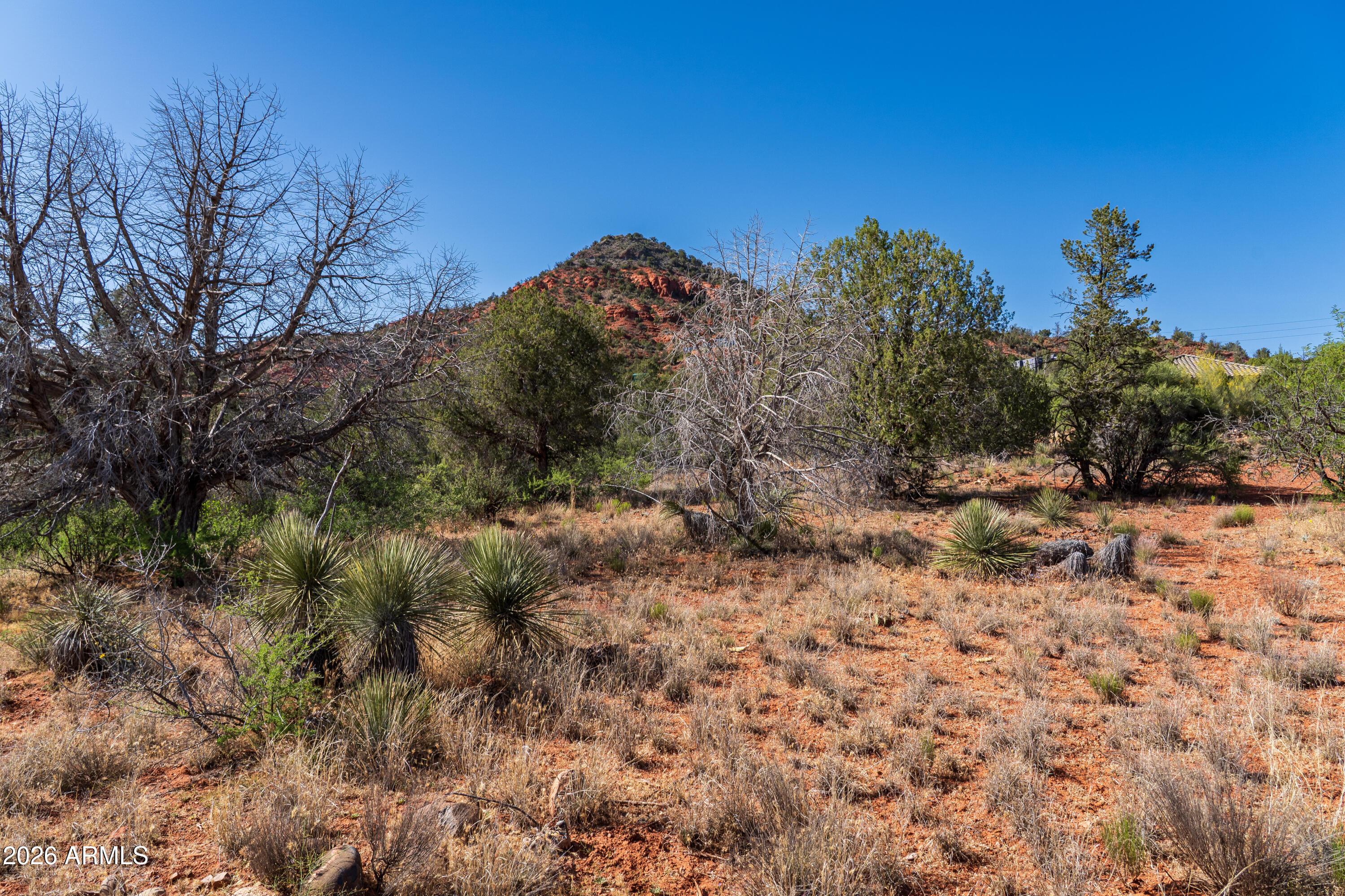 EAST CUP OF GOLD ESTATES - Land