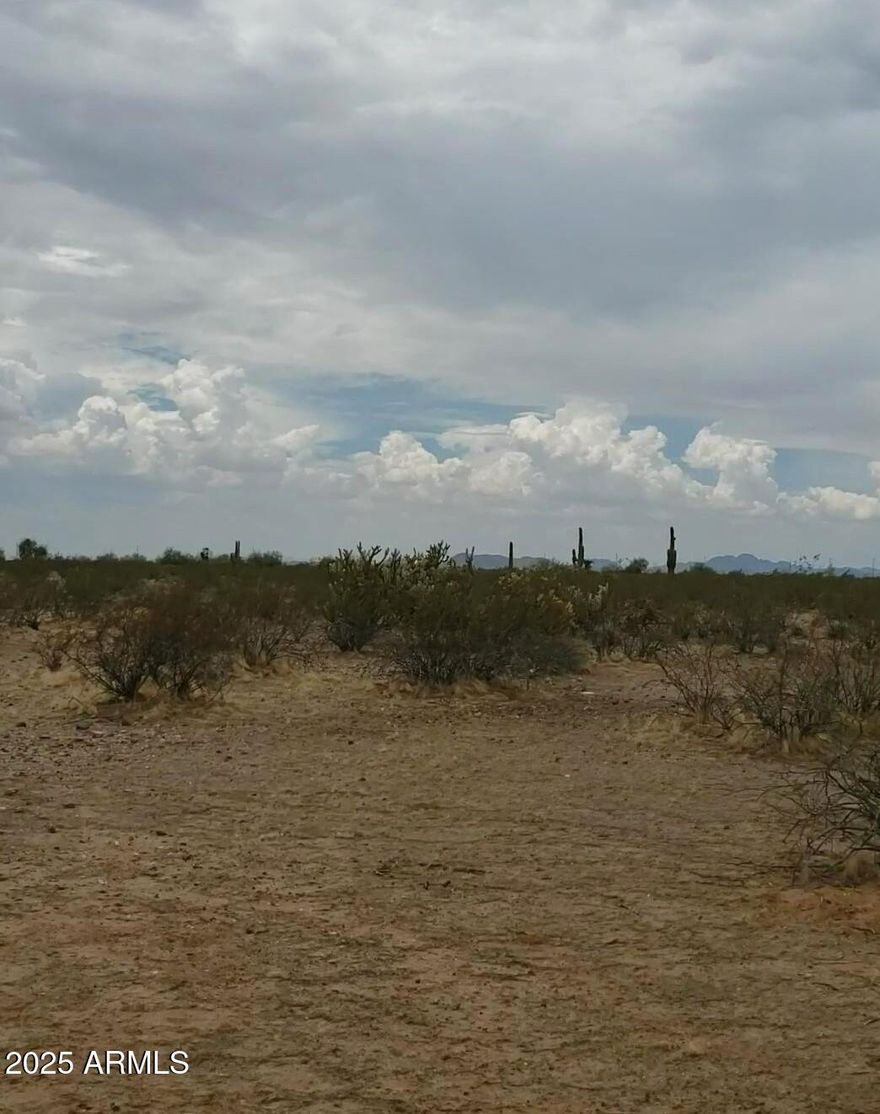 Such a wonderful opportunity to own a peaceful 5 acres with no flood plain. Additionally it comes with three picturesque saguaro cactus and other beautiful native desert plants! There are two parcels  503-17-422A and 503-17-422B, totaling 5 acres of prime building real estate.  Deed restricted to site built homes only, this prestigious neighborhood offers multiple arenas and trail riding. Pride of ownership is prevalent though out the area. There are two access easements to reach these lots.  There is not a well yet, but there's great water in the area so drilling is not a problem.  Power is close by too! Enjoy the great mountain views from all corners of these lots. NO HOA!