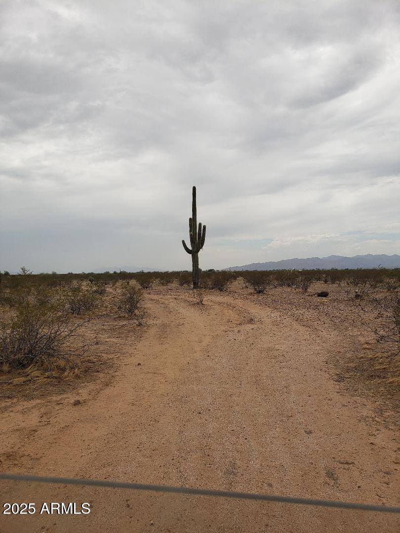 00_00 N 217th Avenue -