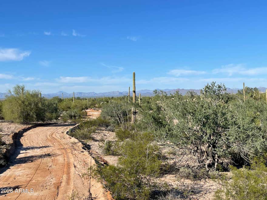 Premium horse property , mature trees and saguaro cactus, BORDERING STATE LAND North side of the property line , BEAUTIFUL VIEWS. SELLER FINANCING.