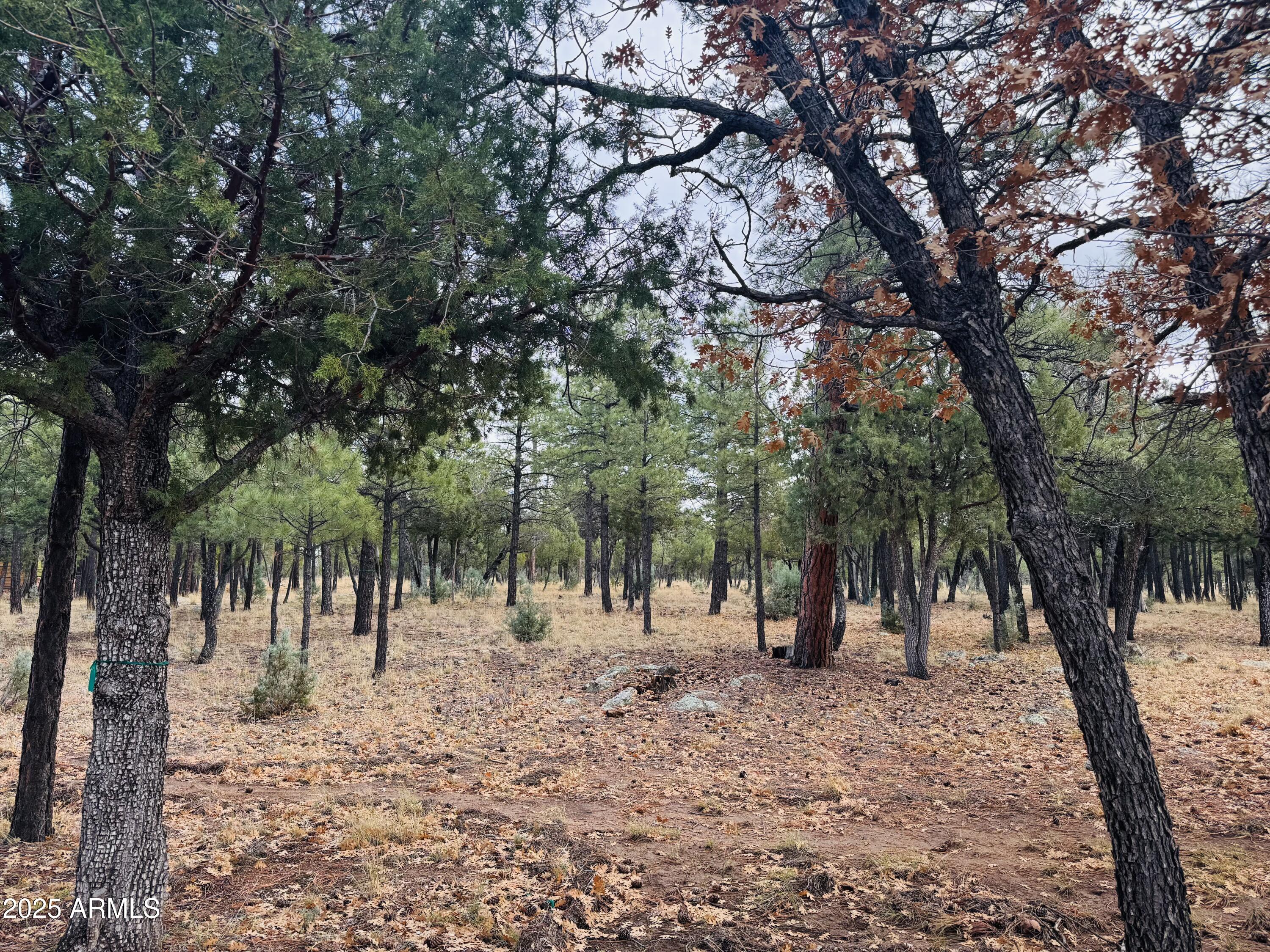 2793 HUMMINGBIRD Circle 159