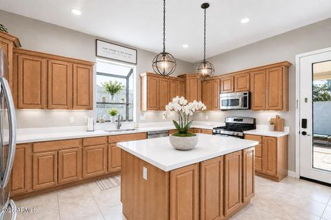 4217 E EDGEMONT Avenue Phoenix AZ 85008