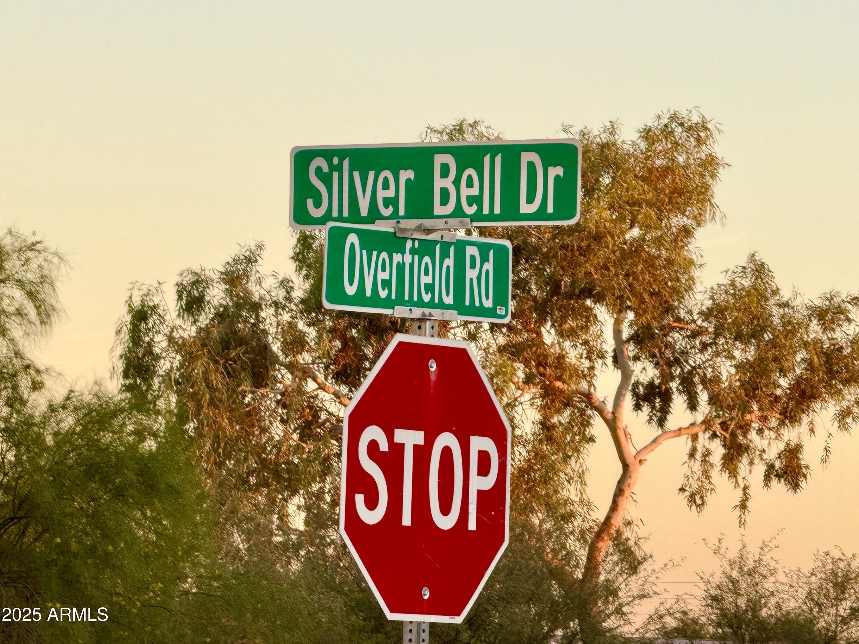 Homes for Sale in Queen Creek Arizona 2 TBD Silver Bell Rd Lot #1 4.67 Acr -- -